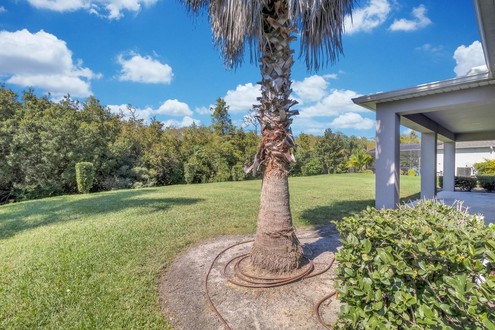 Image 48 of 54 For 2137 Pearl Cider Street