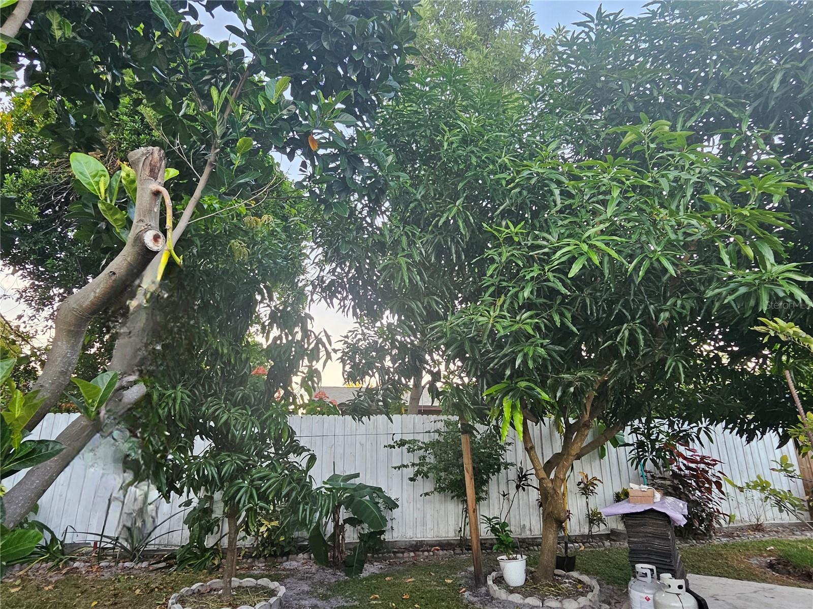 Image 47 of 52 For 2815 Fieldcrest Court