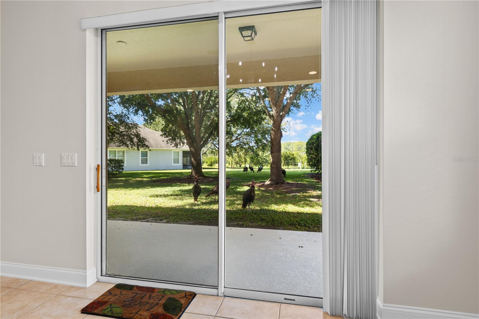 Image 37 of 50 For 7224 Halton Court