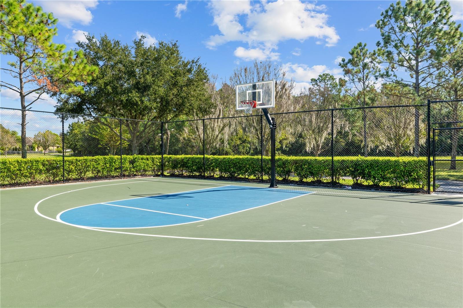 Image 46 of 50 For 7224 Halton Court