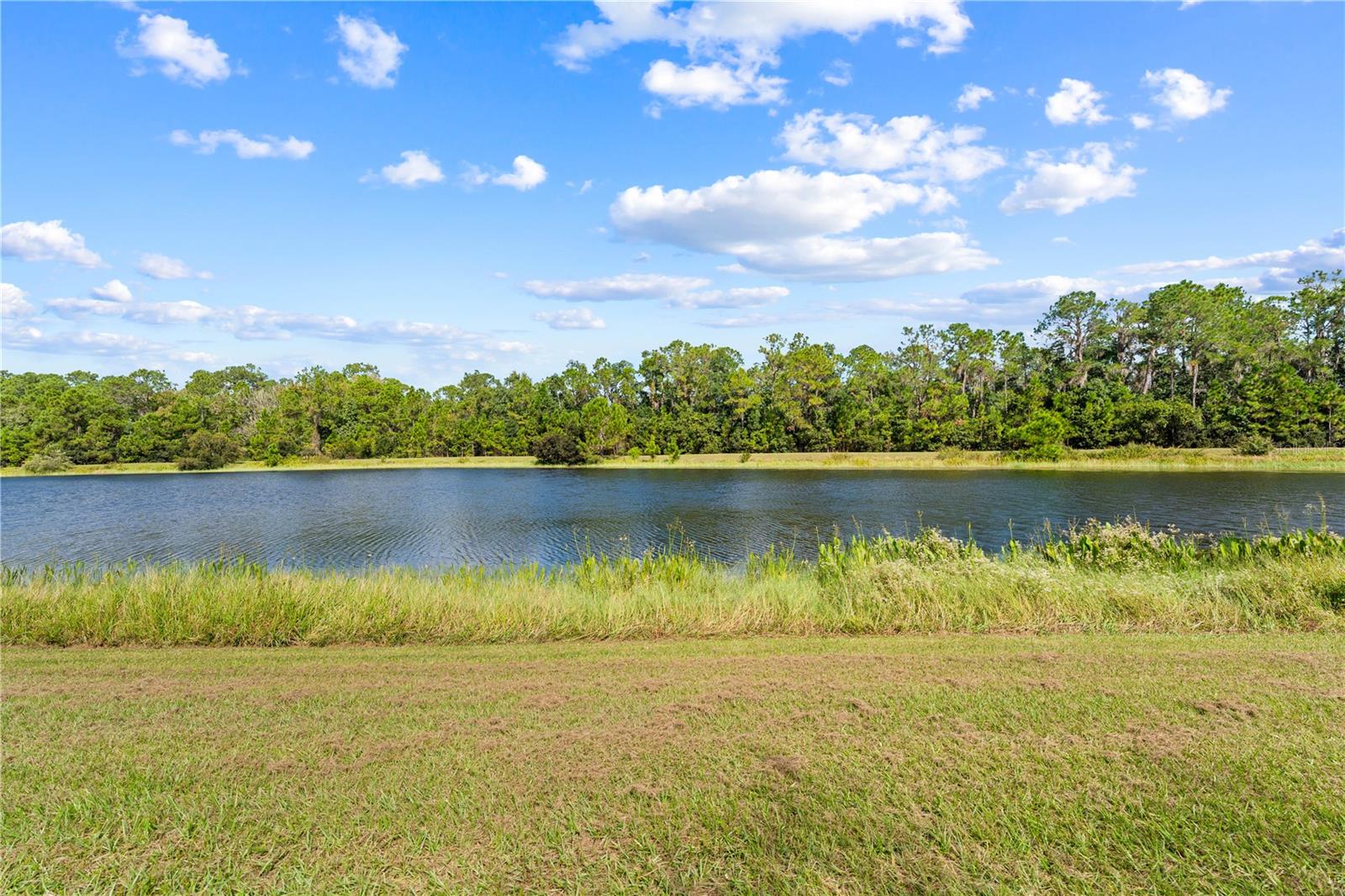 Image 49 of 65 For 3166 Dark Sky Drive