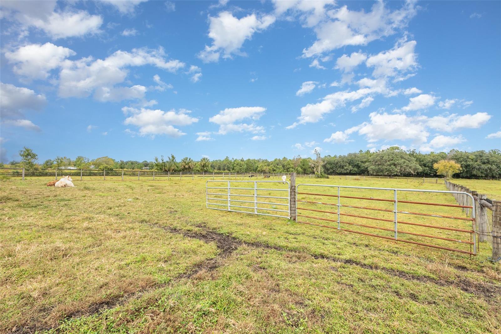 Image 12 of 25 For  Ohio Avenue 