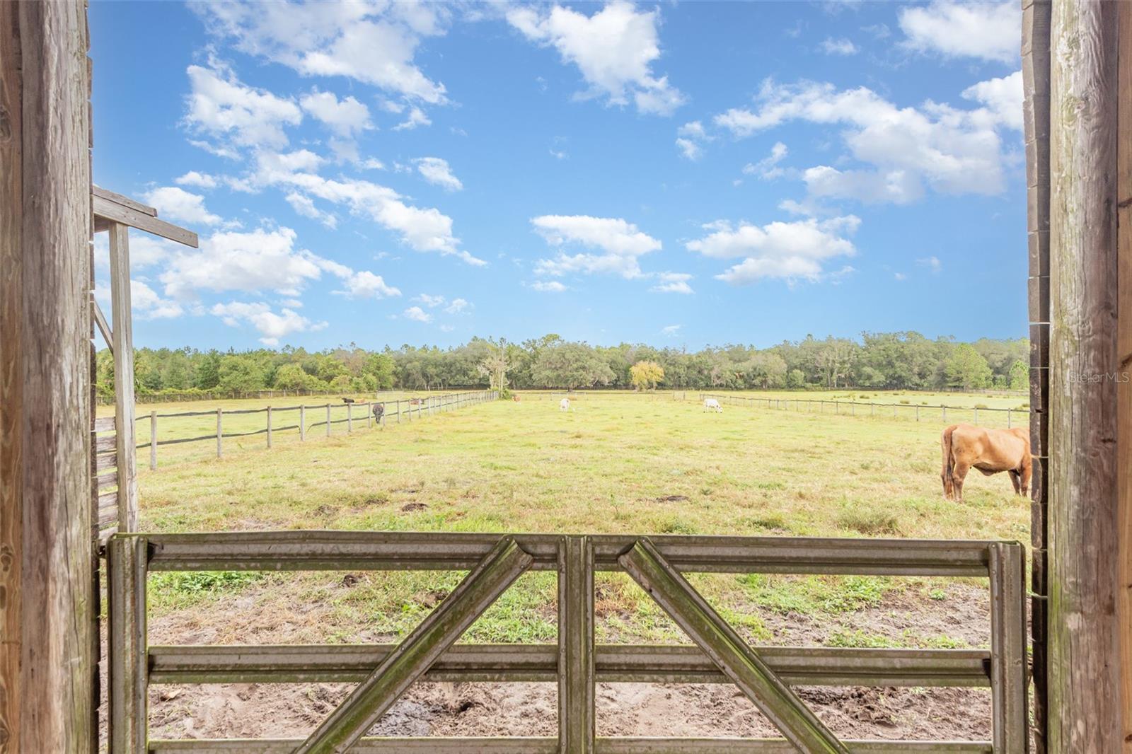 Image 16 of 25 For  Ohio Avenue 