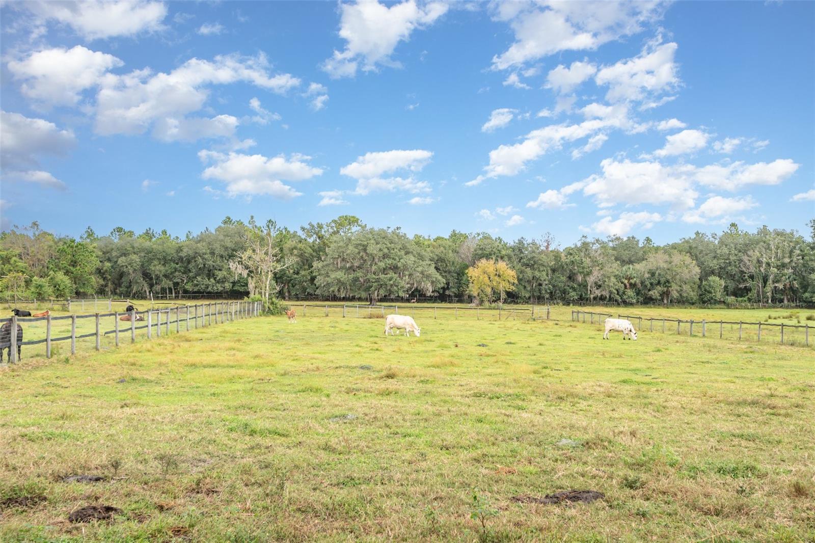 Image 7 of 25 For  Ohio Avenue 