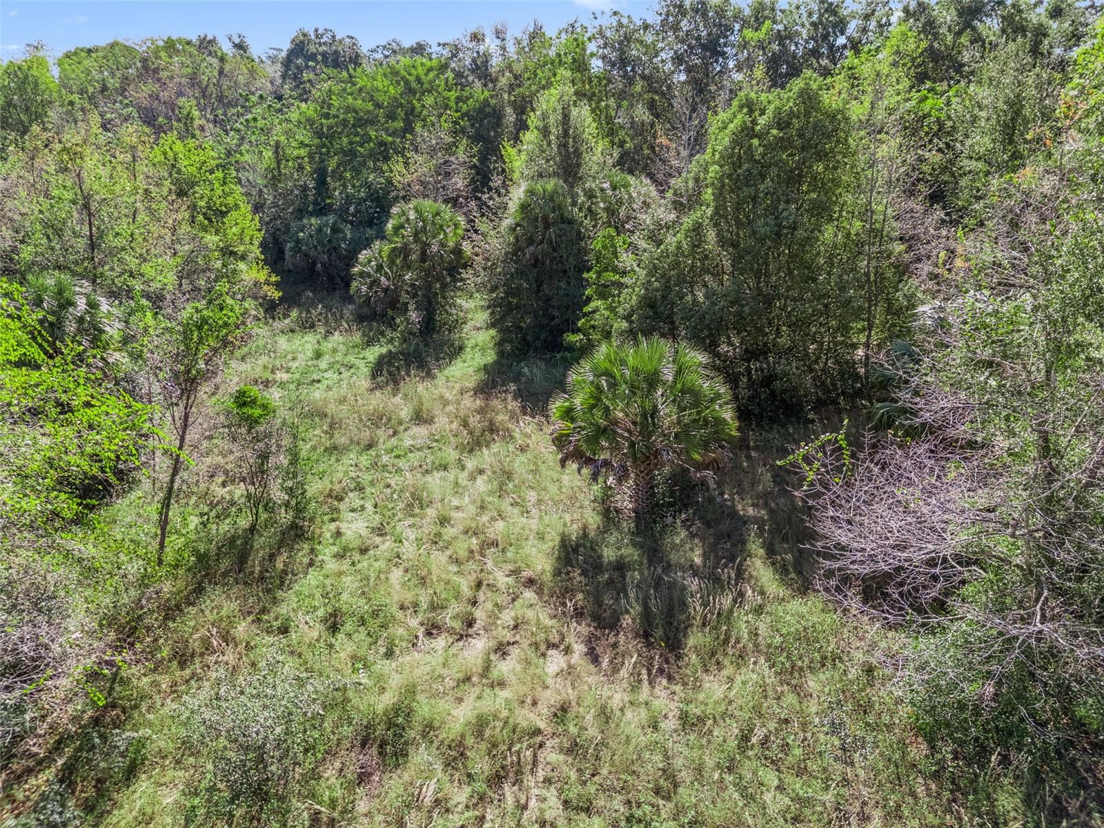 Image 23 of 25 For 2228 Vick Road