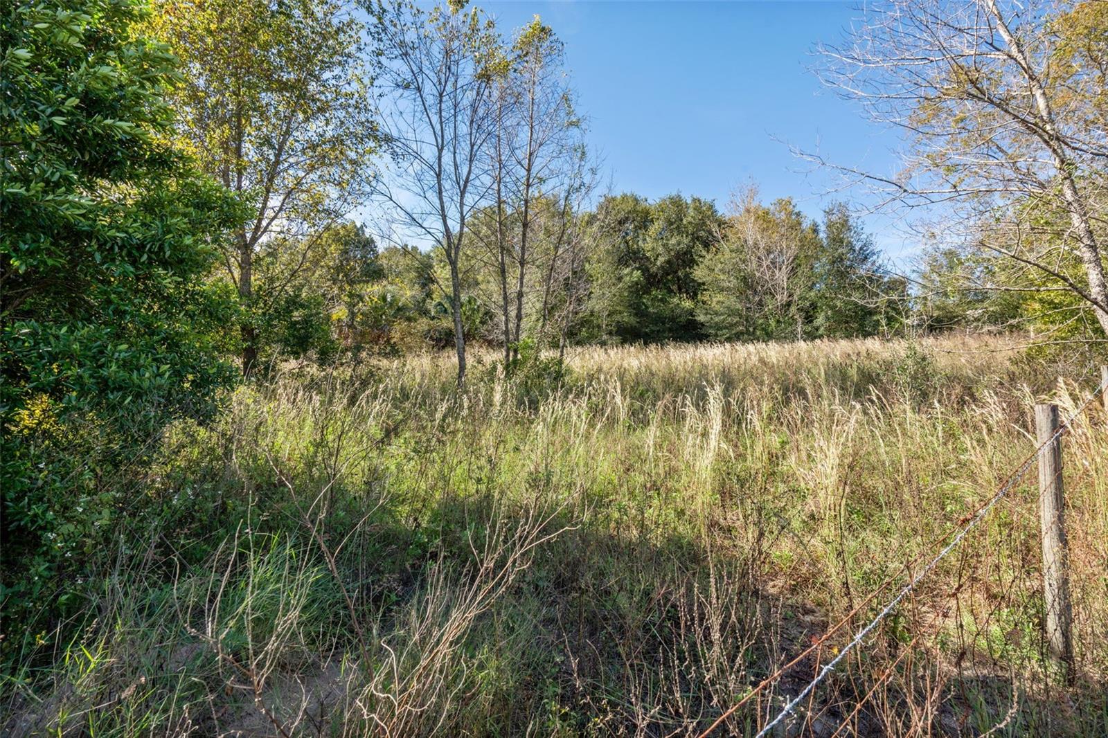 Image 24 of 25 For 2228 Vick Road