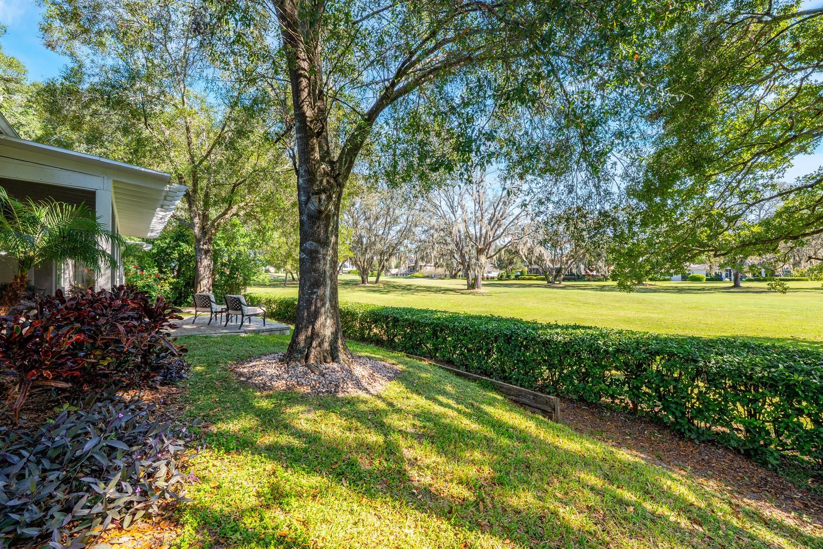 Image 28 of 44 For 935 Ridgeside Court