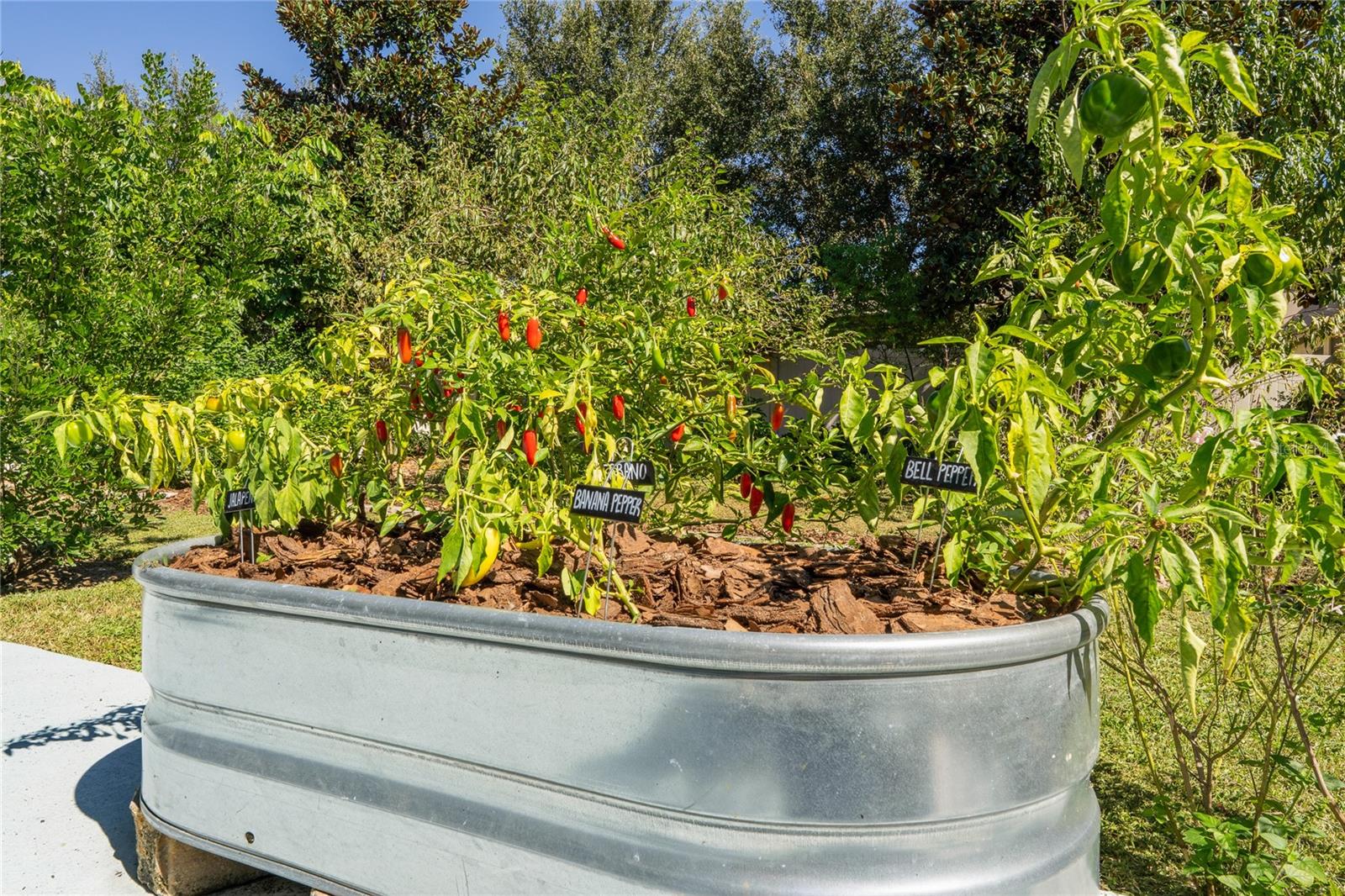 Image 44 of 58 For 842 Oxbow Road