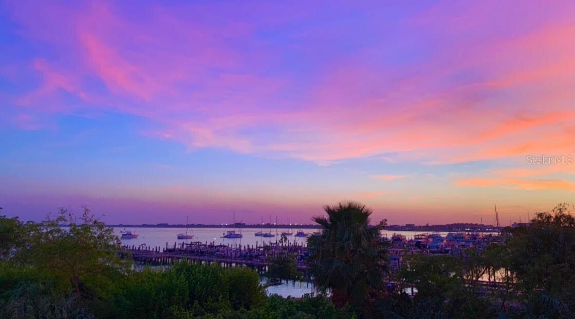 Image 36 of 37 For 37 Harbour Isle Drive E 206