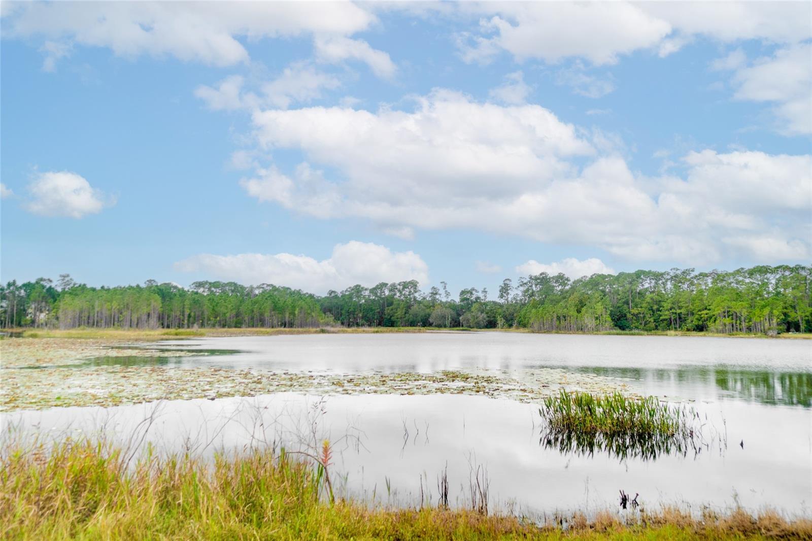 Image 18 of 18 For 2912 Woodlands Park Court