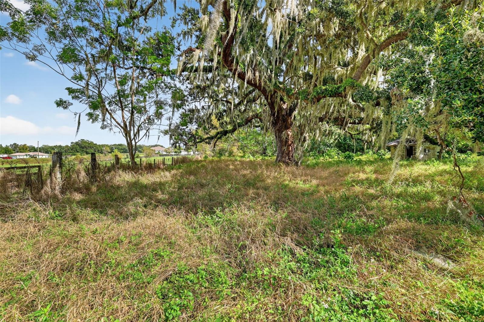 Image 8 of 10 For 32742 Whitney Road