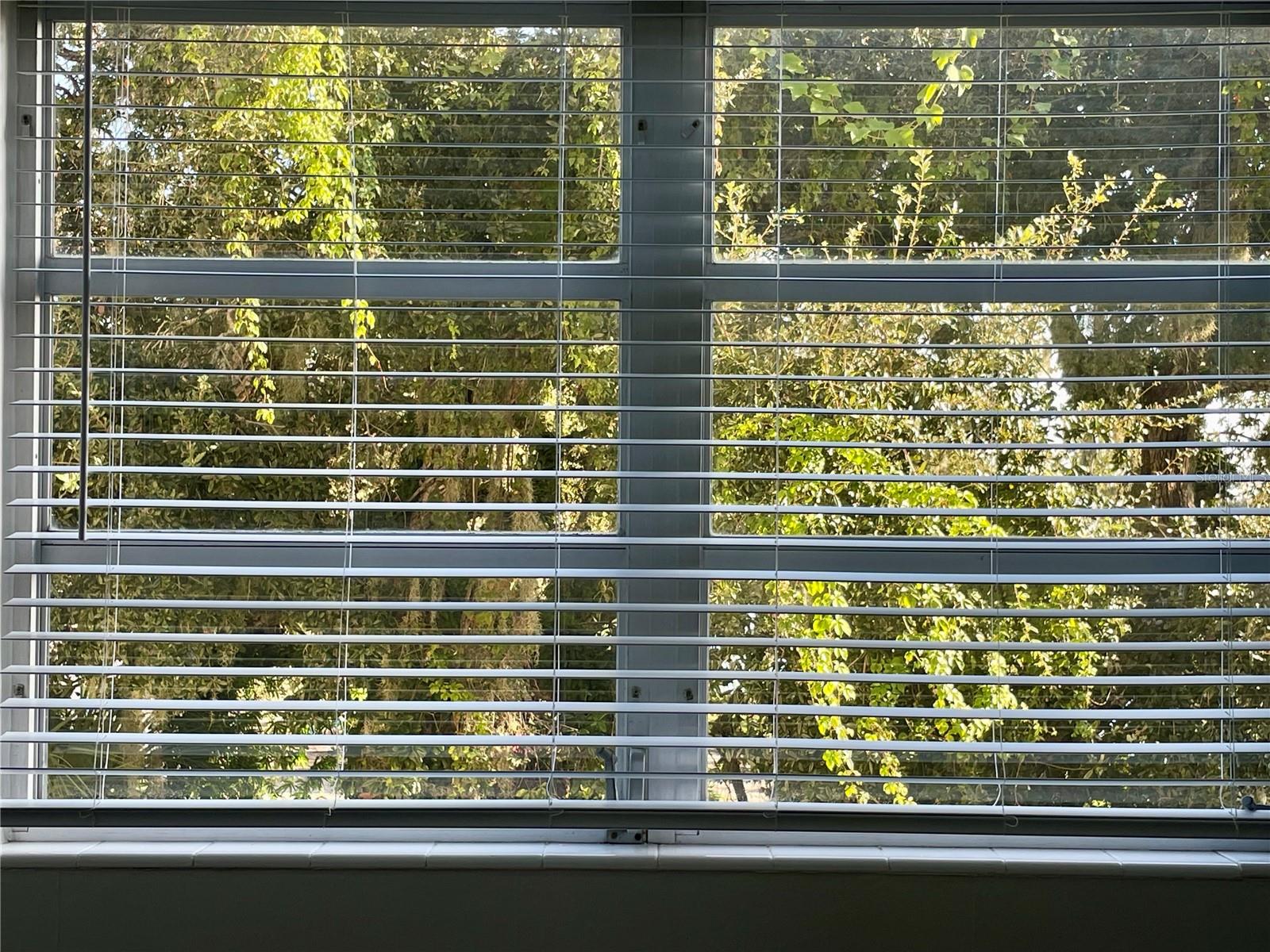 Image 34 of 95 For 1224 Peninsula Drive 304