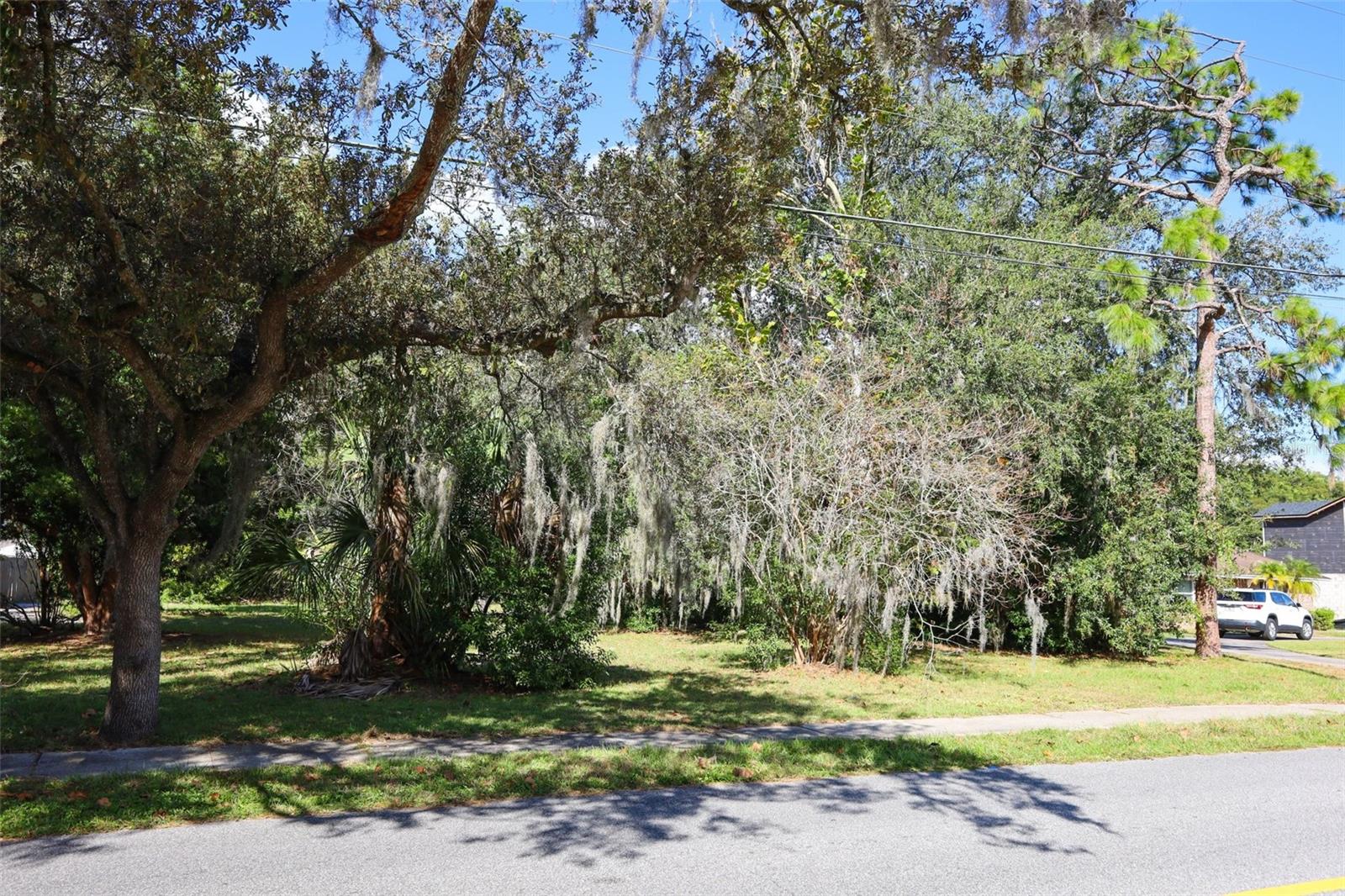 Image 6 of 40 For Wildmere Avenue