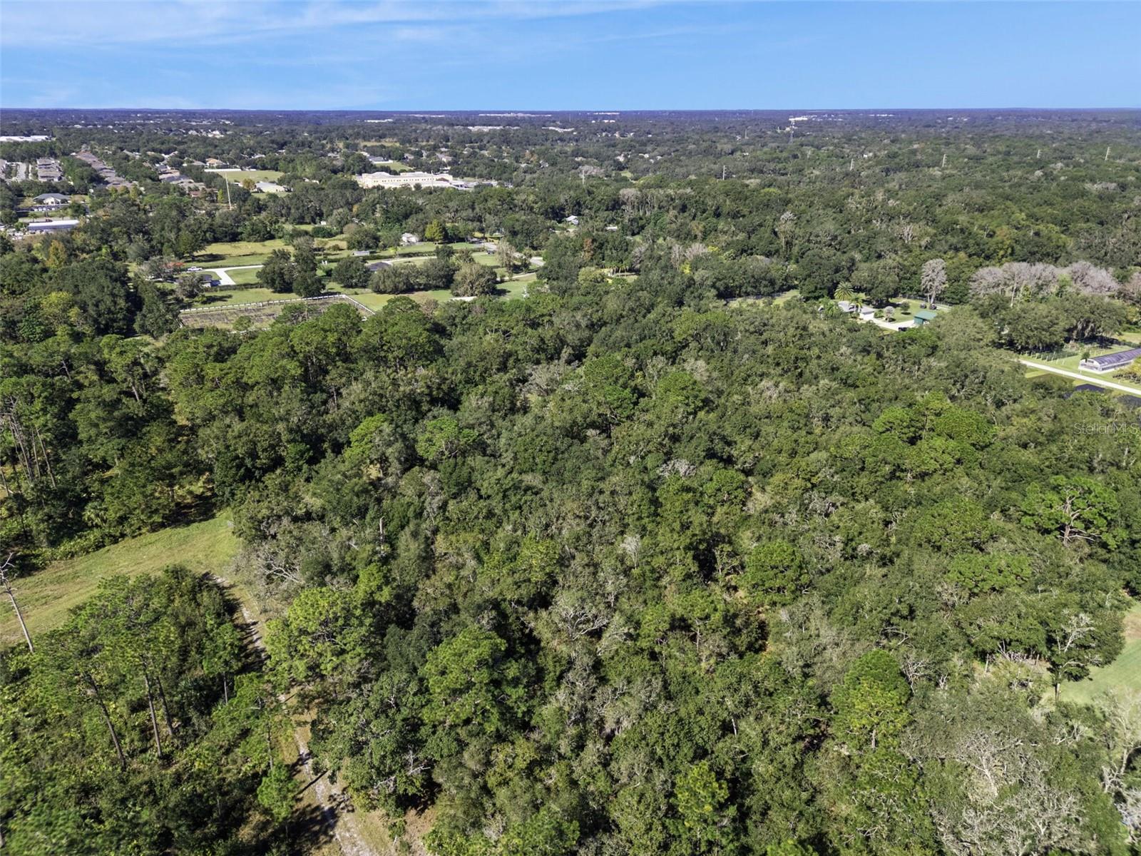 Image 13 of 19 For  Faye Street 