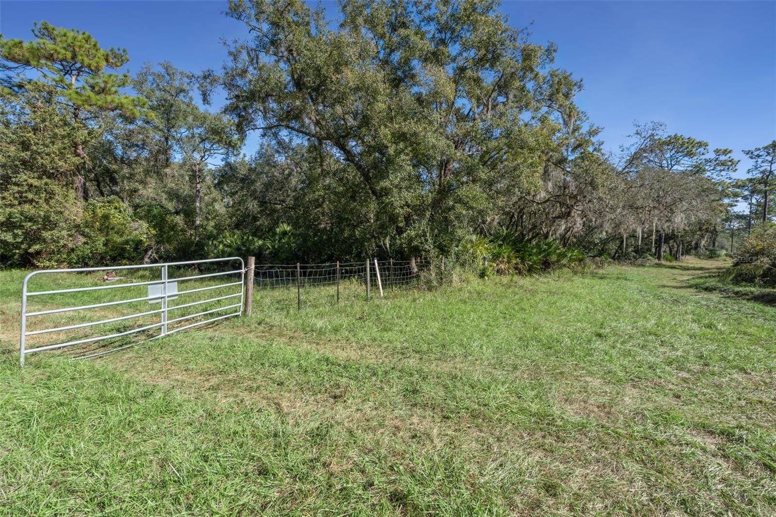 Image 18 of 19 For  Faye Street 