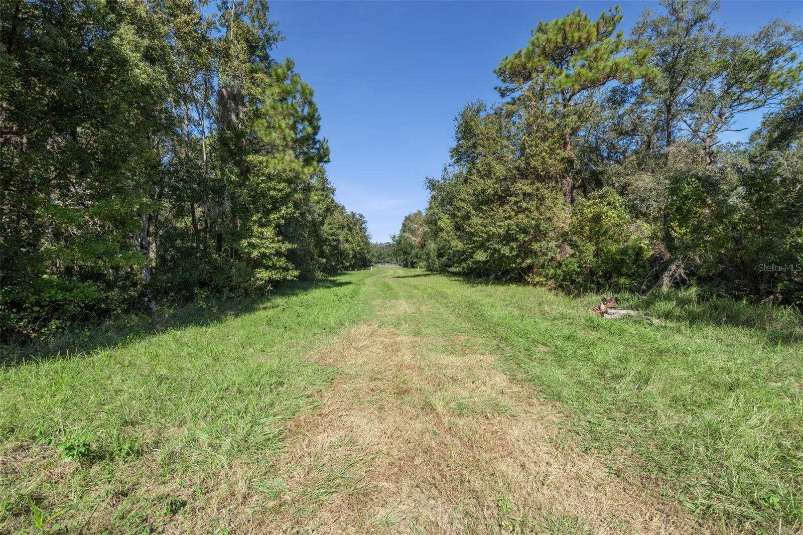 Image 19 of 19 For  Faye Street 