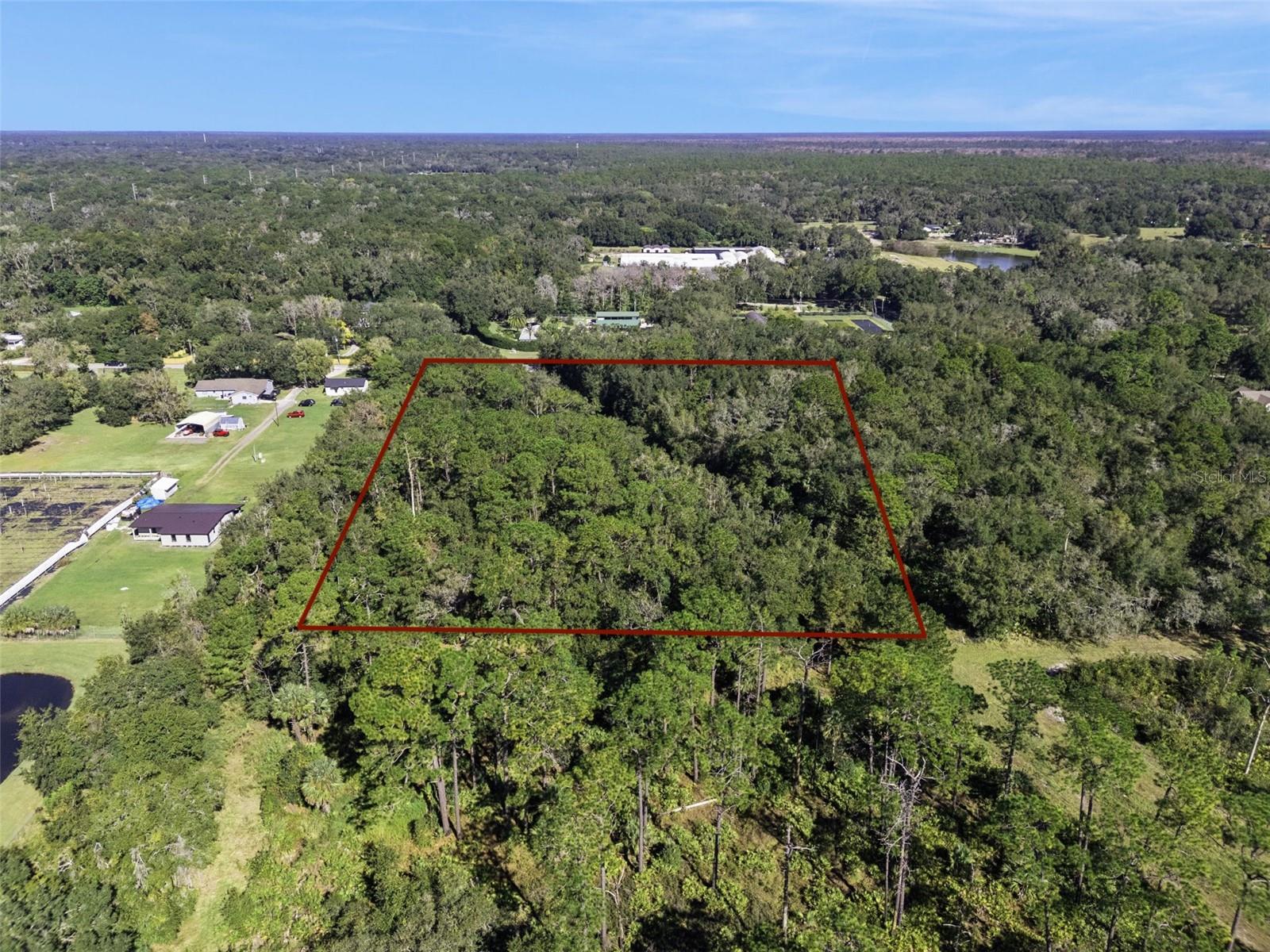 Image 5 of 19 For  Faye Street 