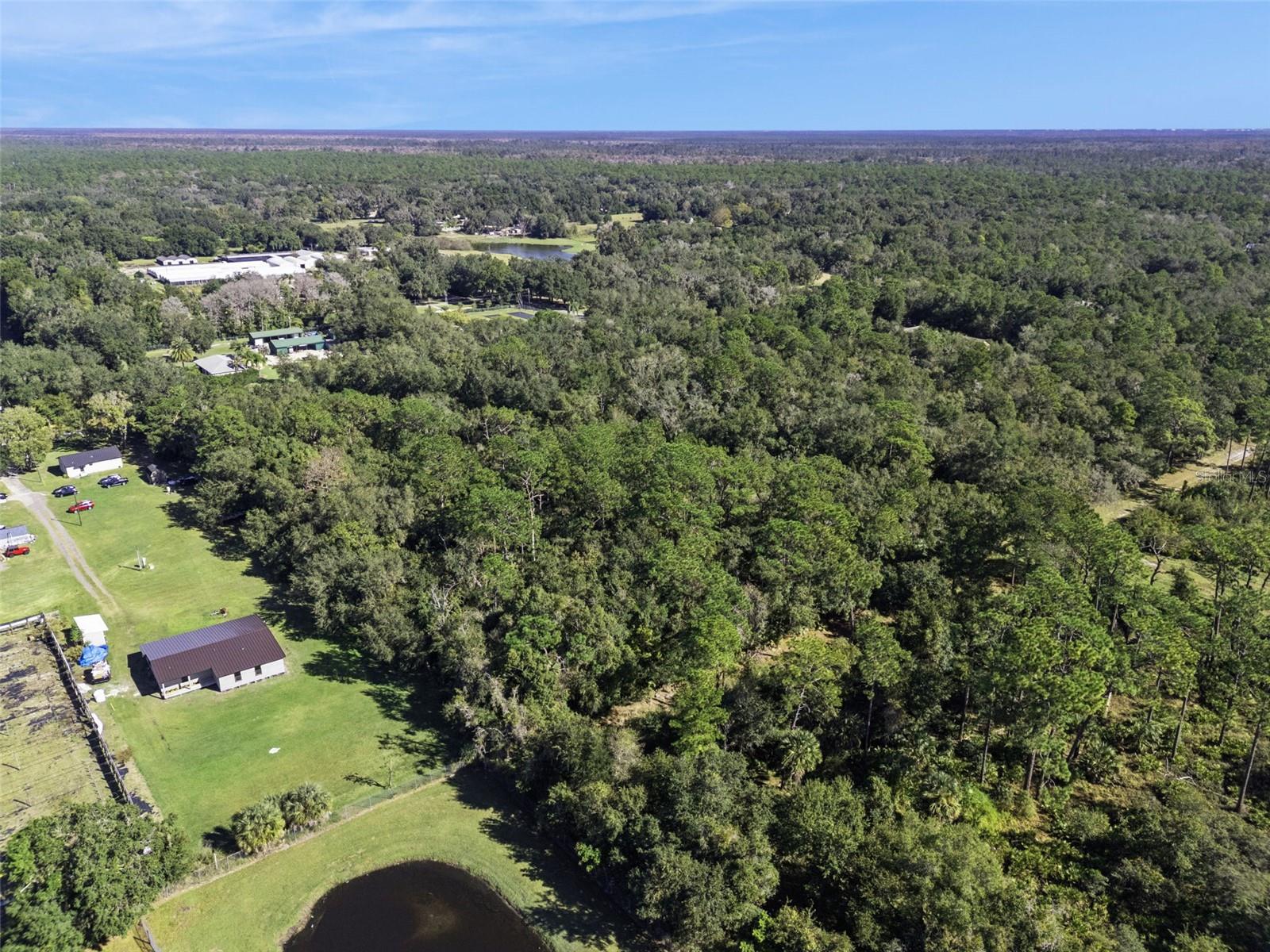 Image 7 of 19 For  Faye Street 