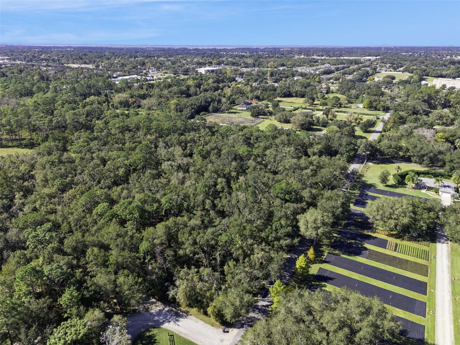 Image 9 of 19 For  Faye Street 