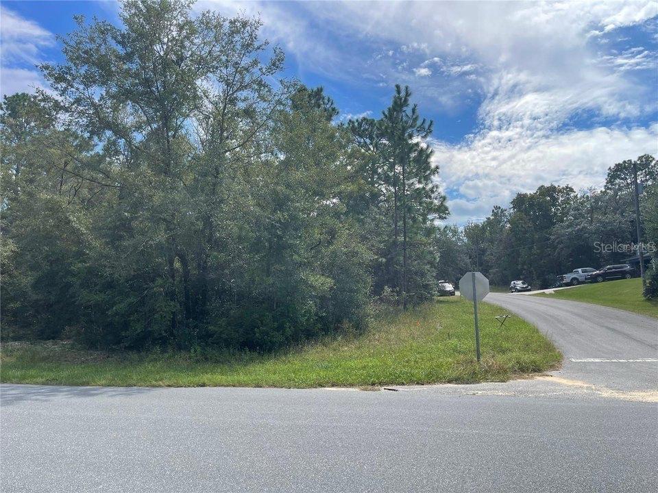 Listing Details for 11083 Tigerwood Terrace, CITRUS SPRINGS, FL 34434