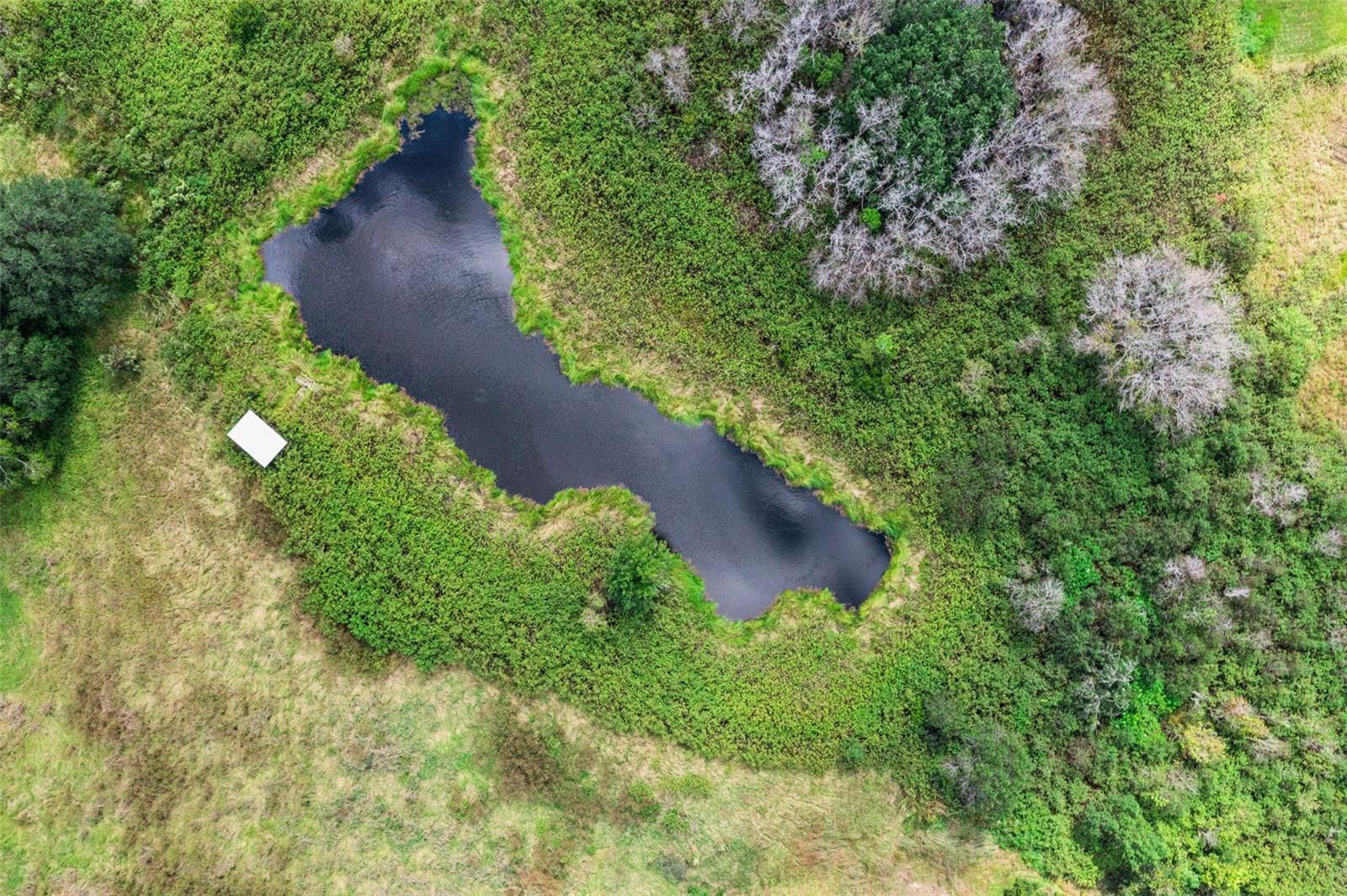 Image 17 of 23 For 7411 Groveland Farms Road