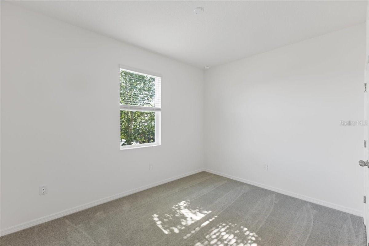 Image 11 of 14 For 163 Bottle Brush