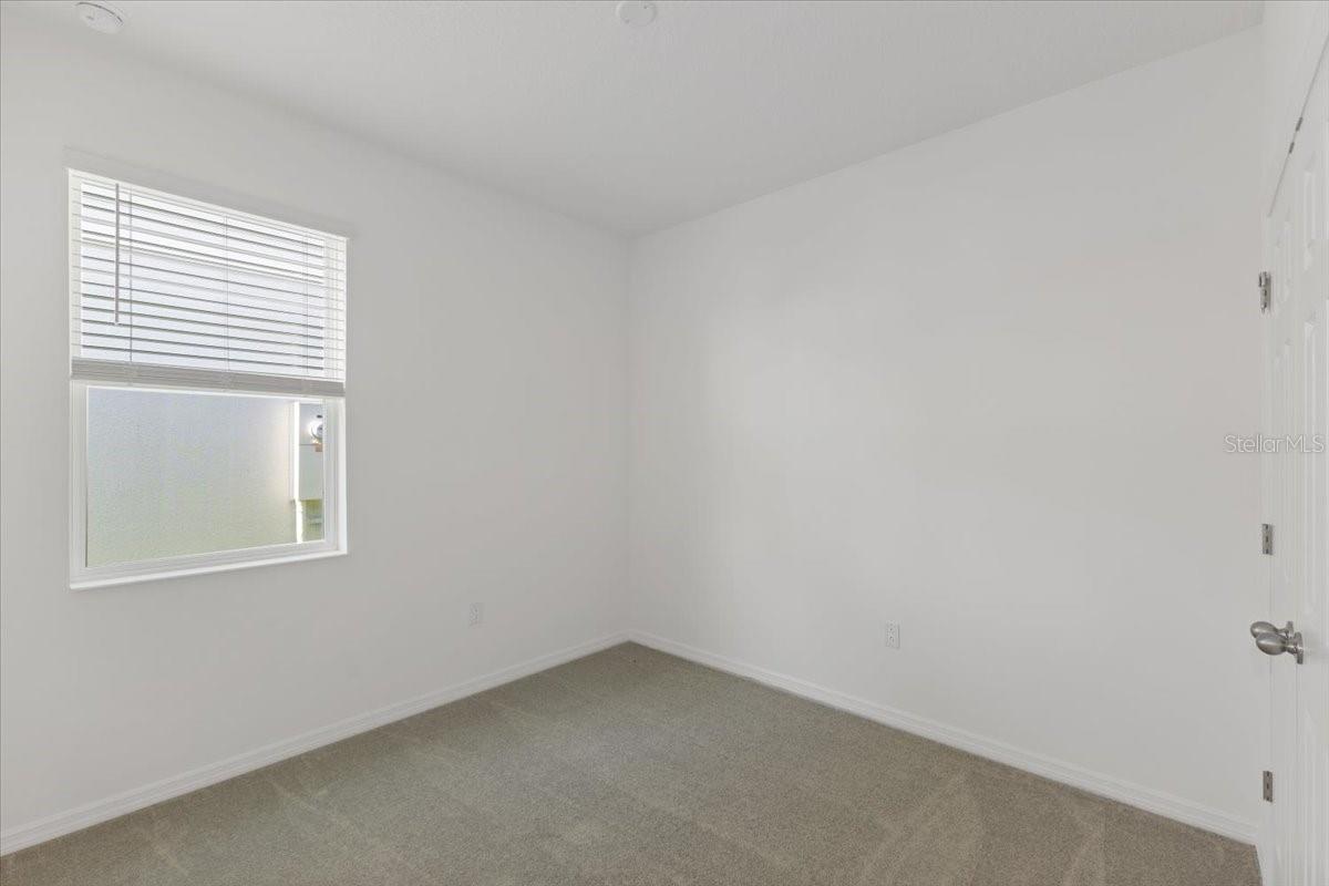 Image 12 of 14 For 163 Bottle Brush