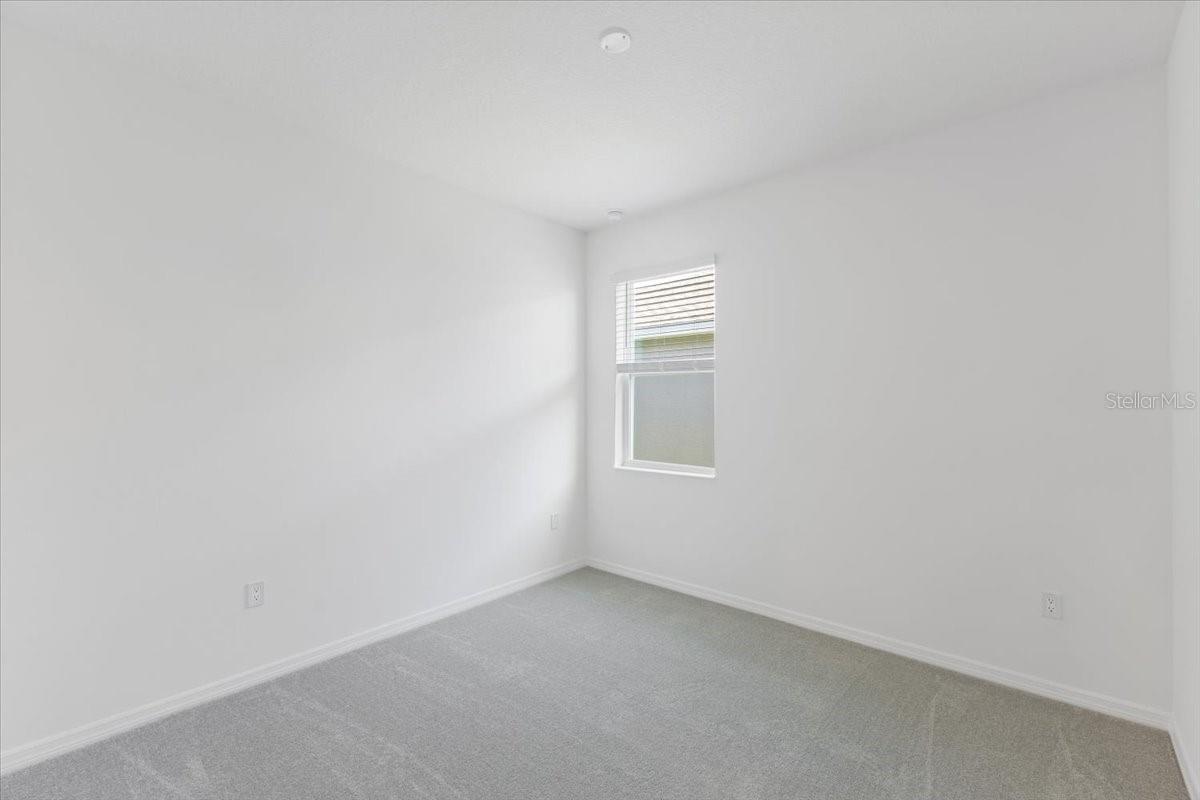 Image 14 of 14 For 163 Bottle Brush