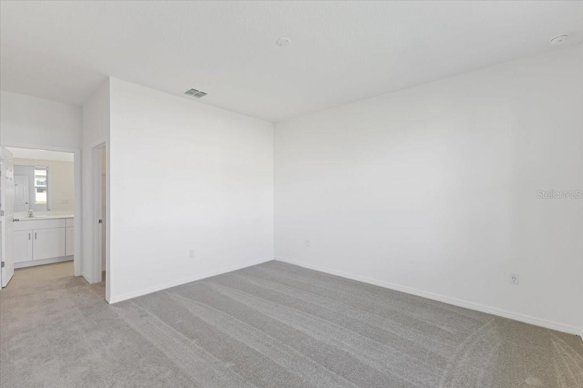 Image 8 of 14 For 163 Bottle Brush