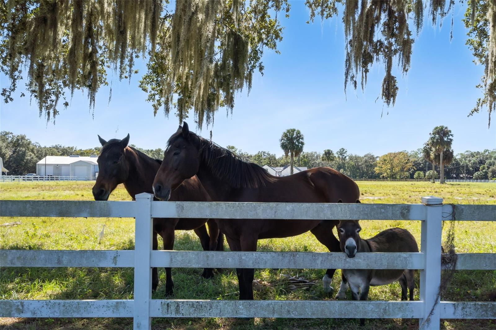 Image 22 of 40 For 2425 Pine Way