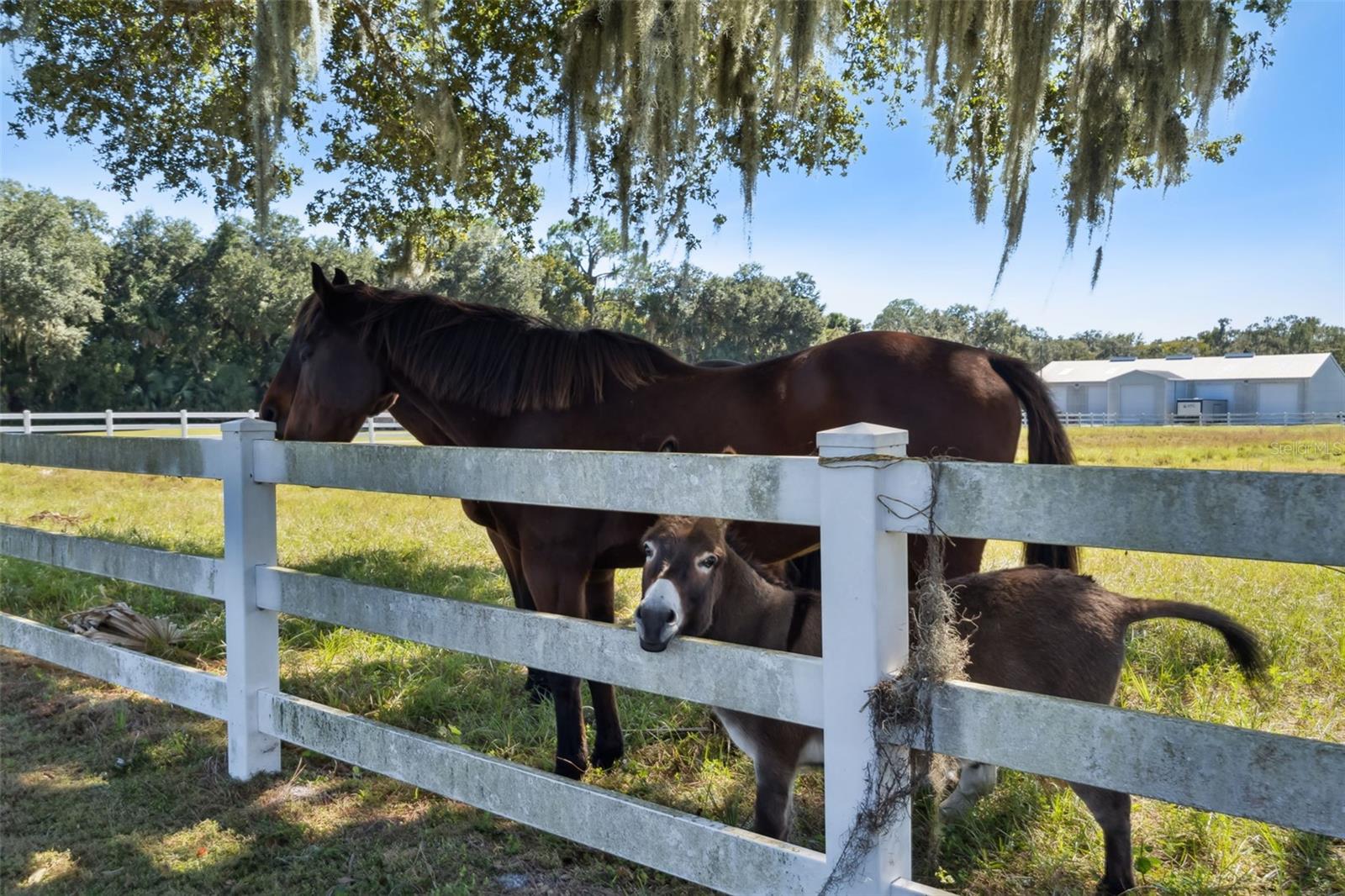 Image 23 of 40 For 2425 Pine Way