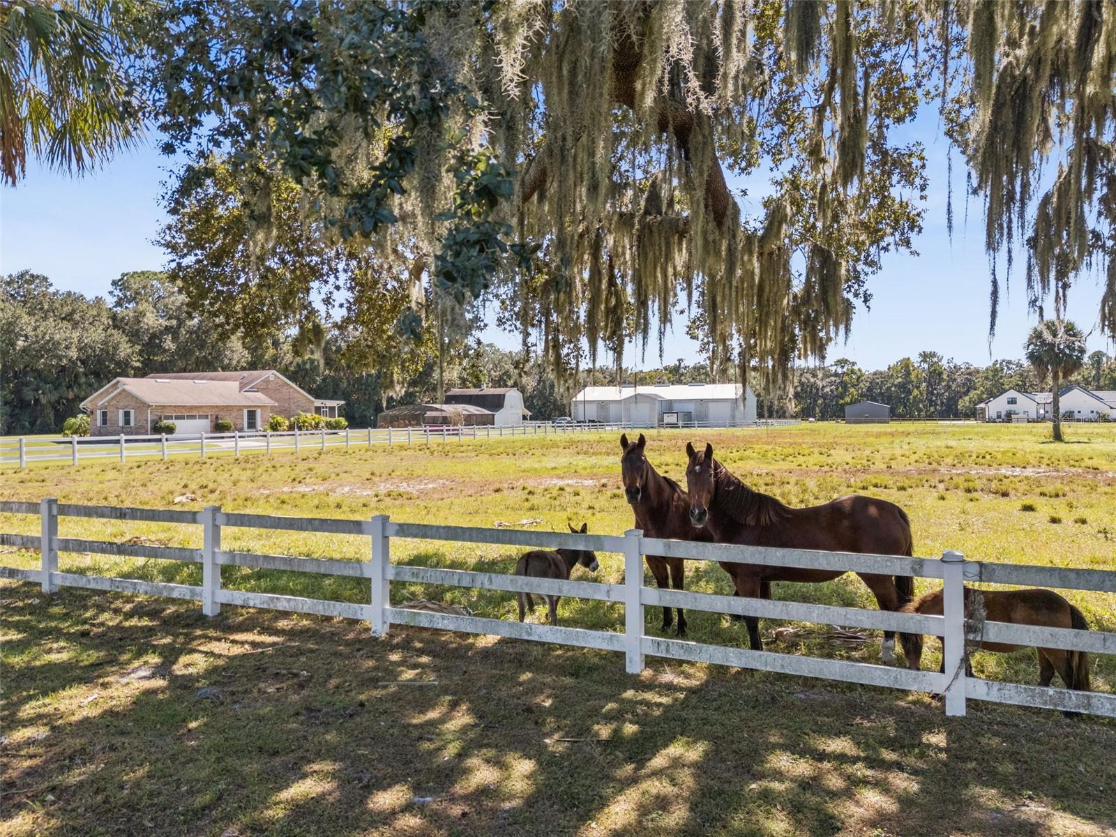 Image 24 of 40 For 2425 Pine Way