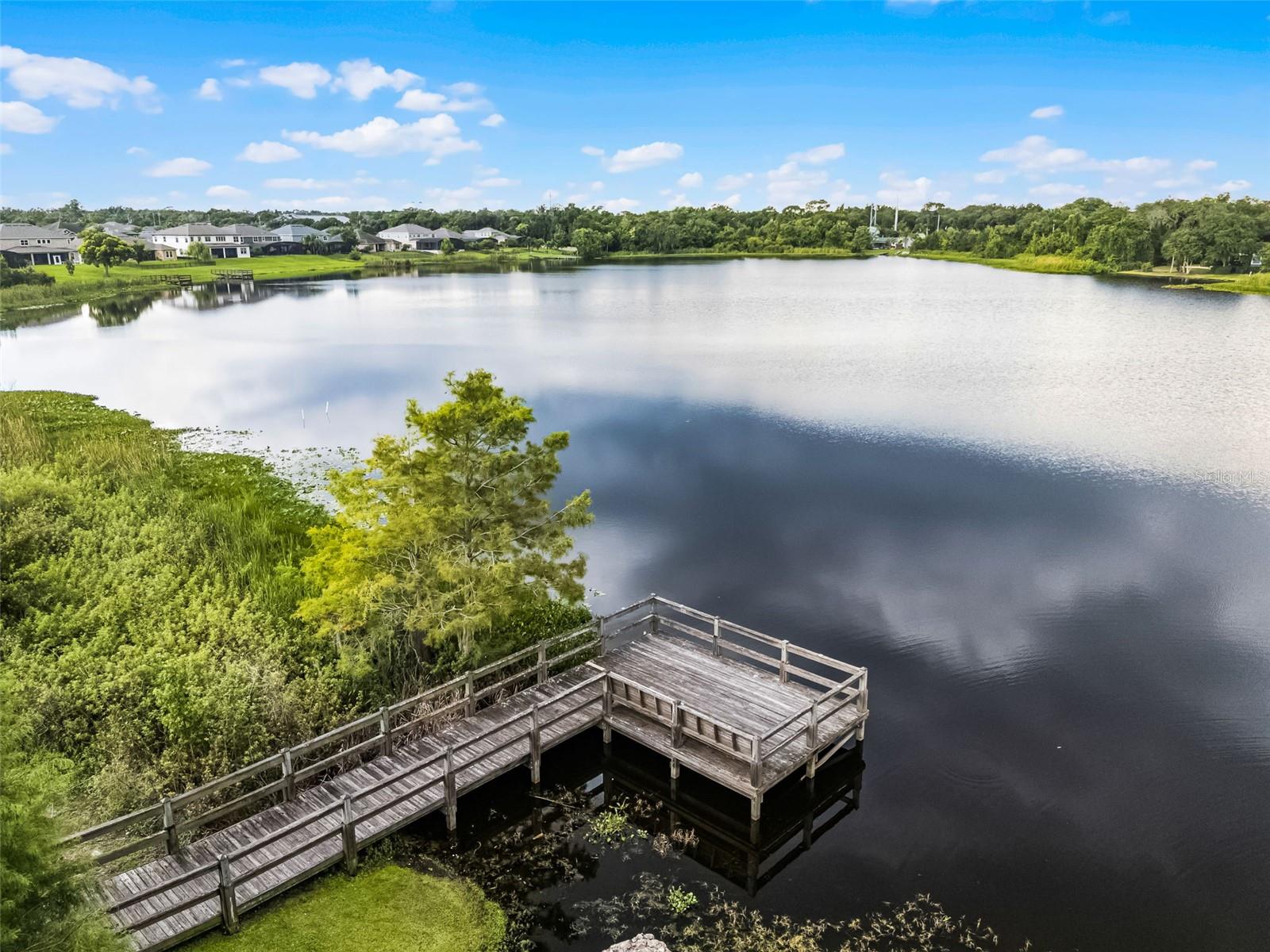 Image 73 of 76 For 1460 Via Sangro Place