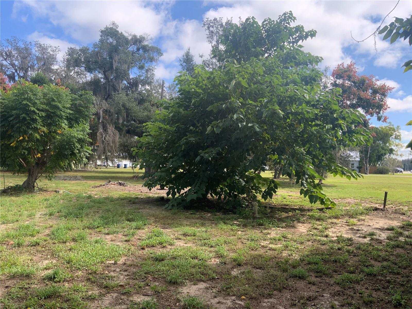 Image 5 of 8 For 116 V Matt Williams Boulevard