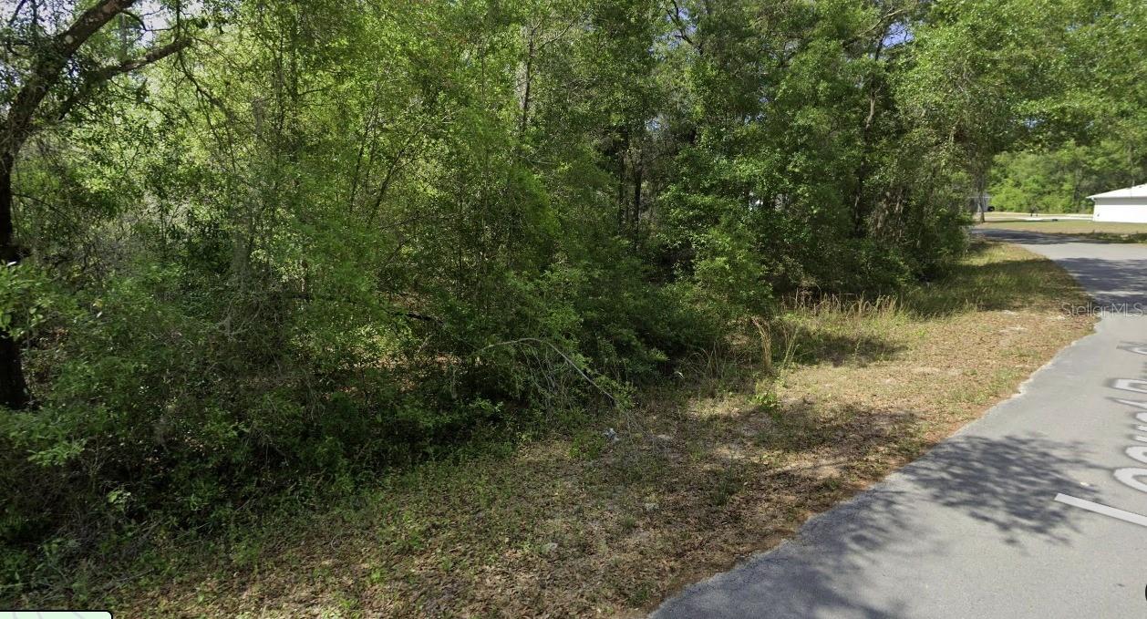 Image 8 of 9 For 0 Locust Run Cir