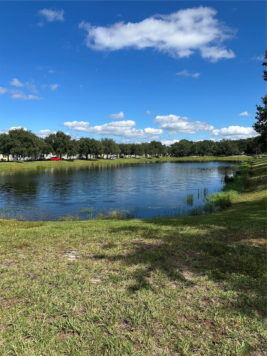 Image 5 of 27 For 2560 Grasmere View Parkway S