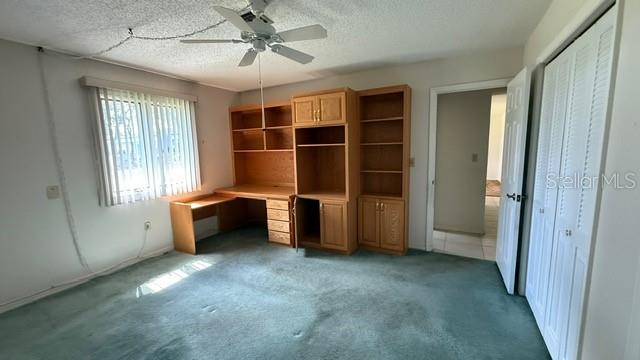 Image 16 of 19 For 233 Citrus Street