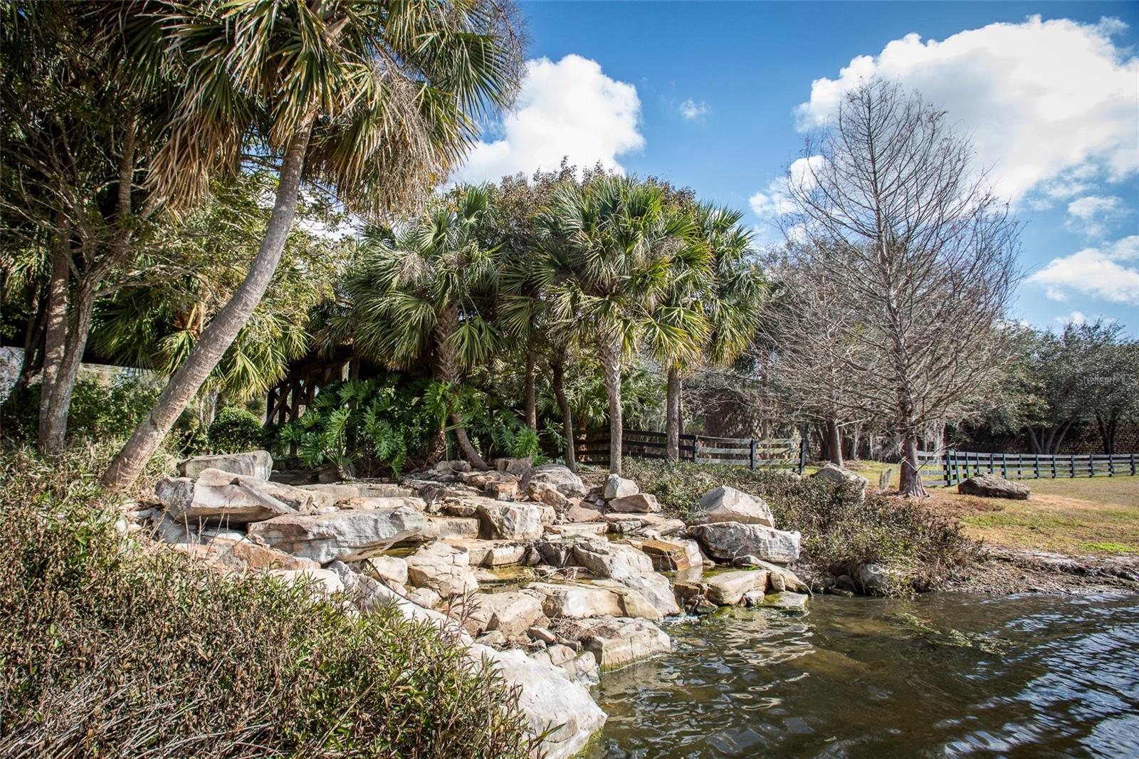 Image 54 of 58 For 30331 Tokara Terrace