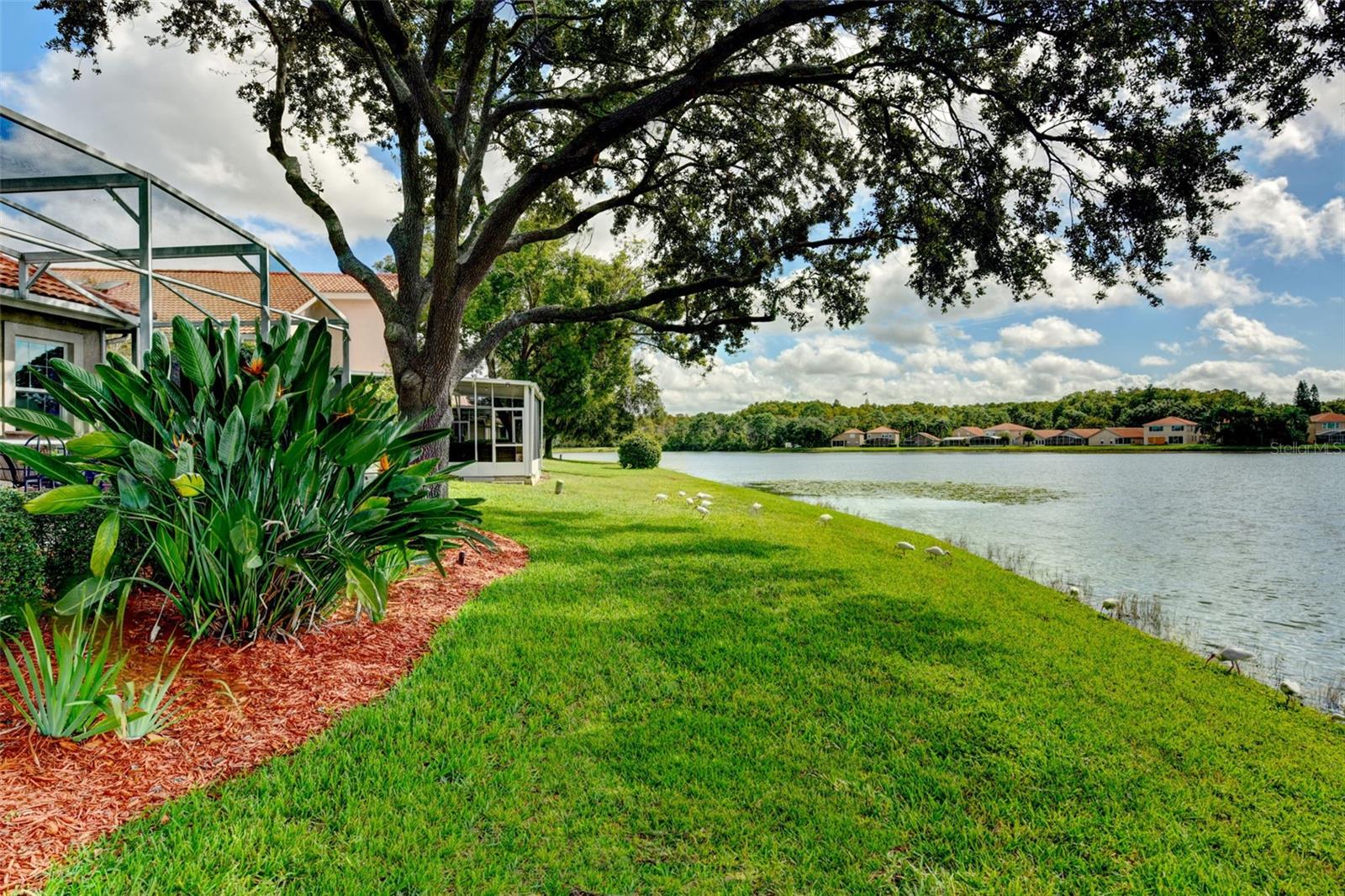 Image 47 of 65 For 5114 Watervista Drive