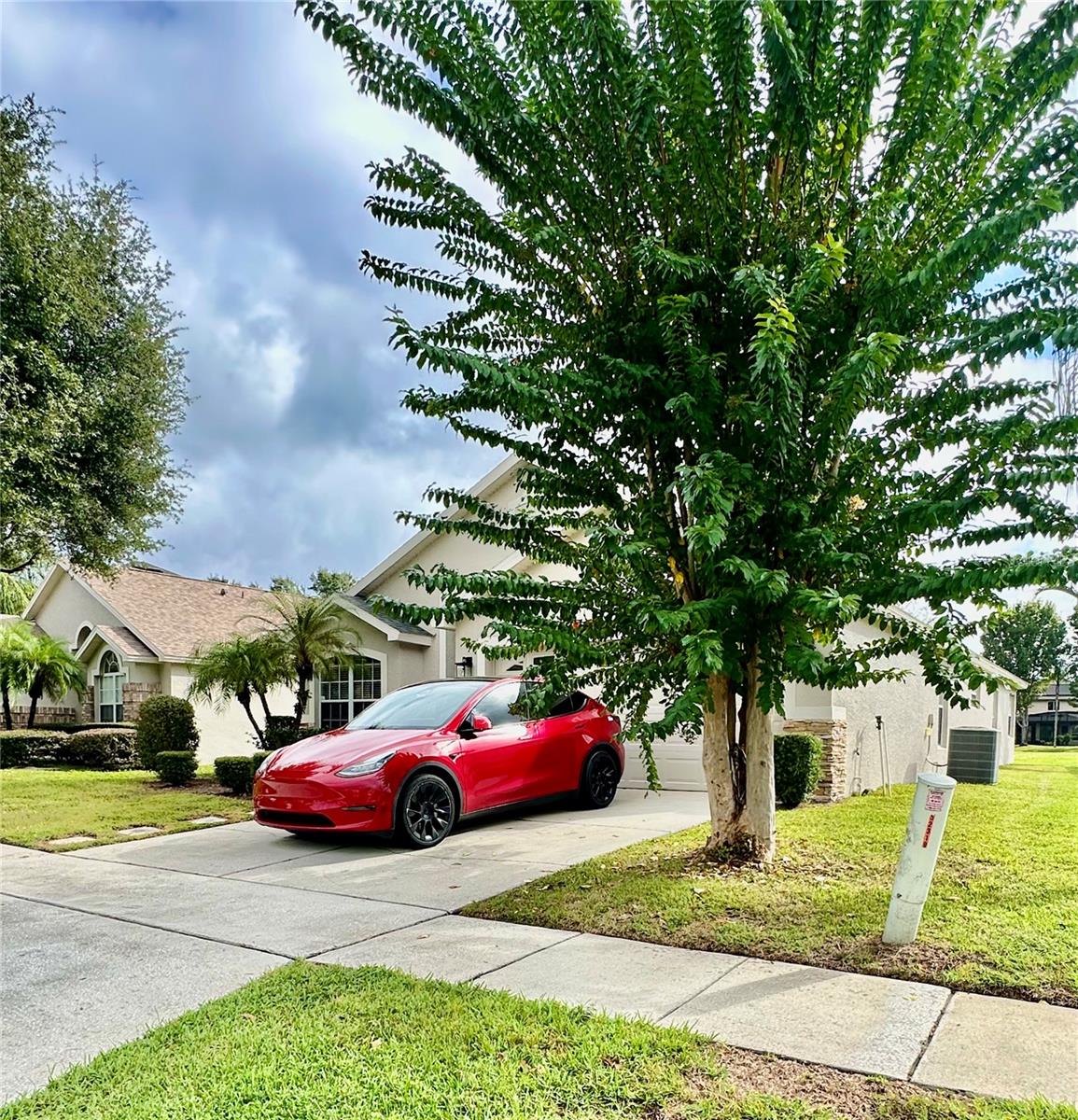 Image 38 of 38 For 9226 Pecky Cypress Way