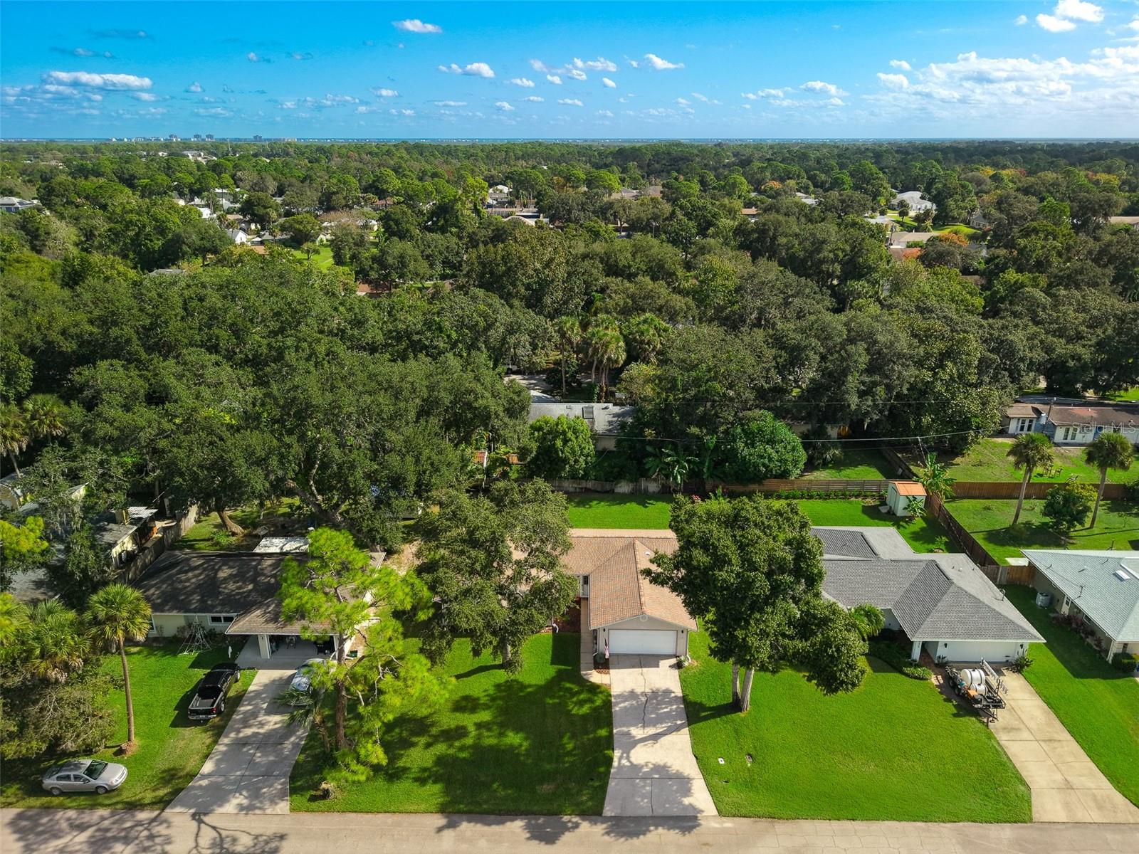 Image 32 of 37 For 3311 Needle Palm Drive