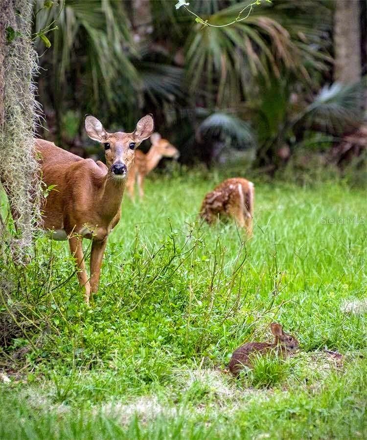 Image 70 of 85 For 1531 Castile Street