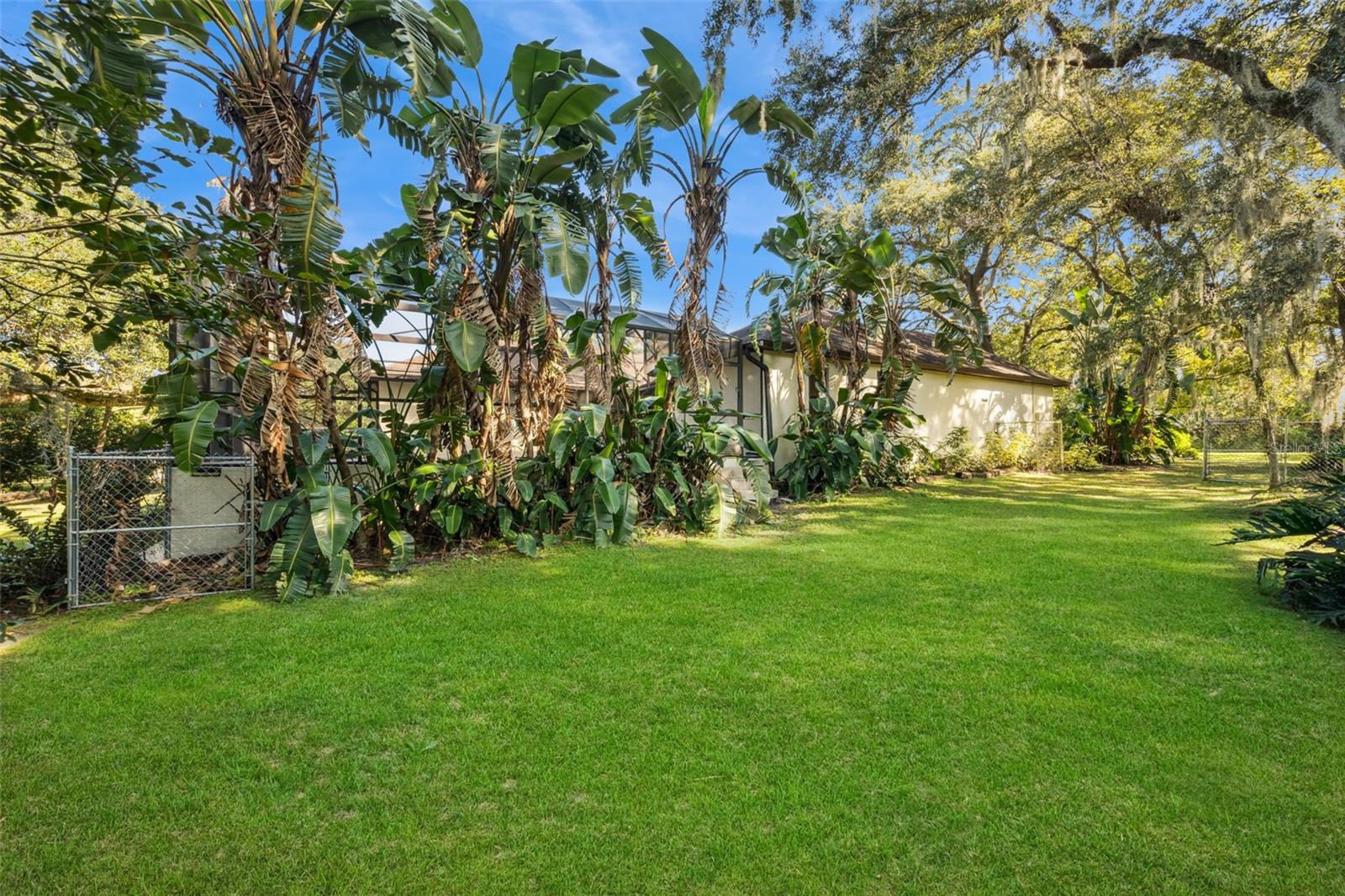 Image 24 of 32 For 1260 Log Landing Drive