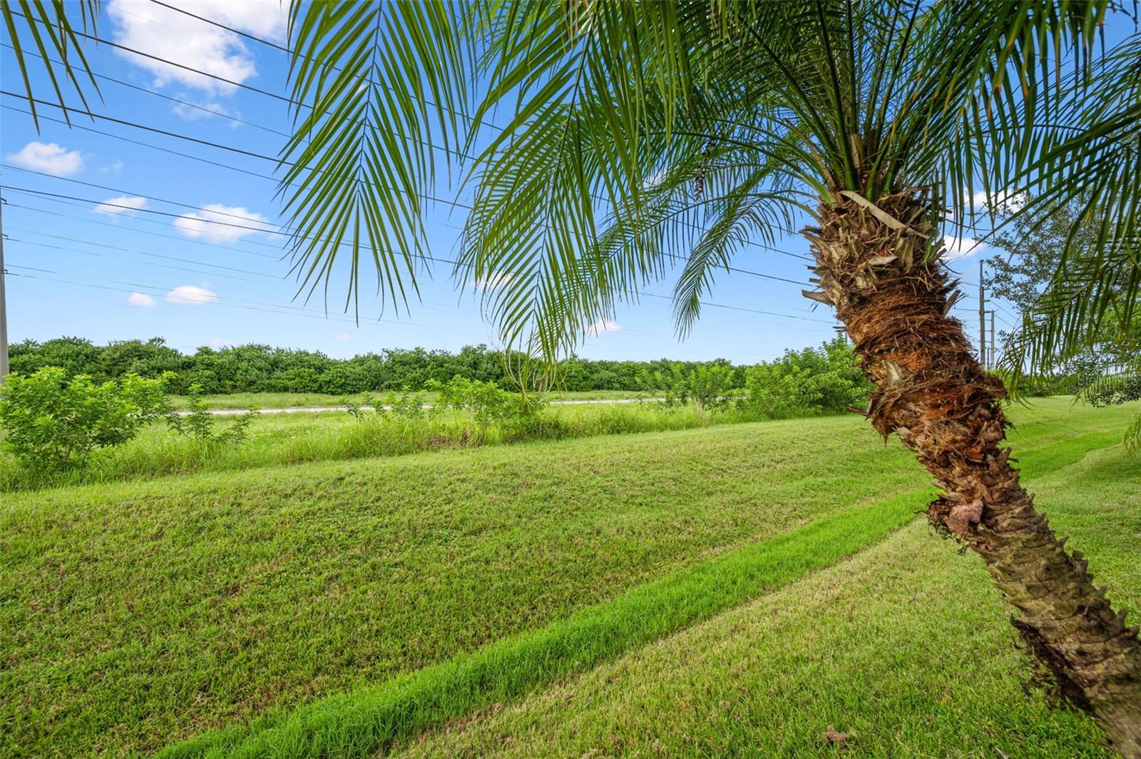 Image 40 of 44 For 3664 Gurrero Drive