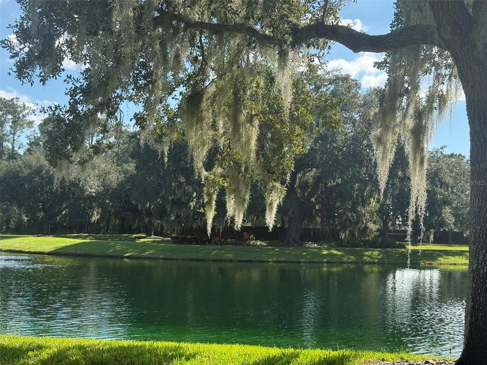 Image 76 of 78 For 10484 Wiscane Avenue