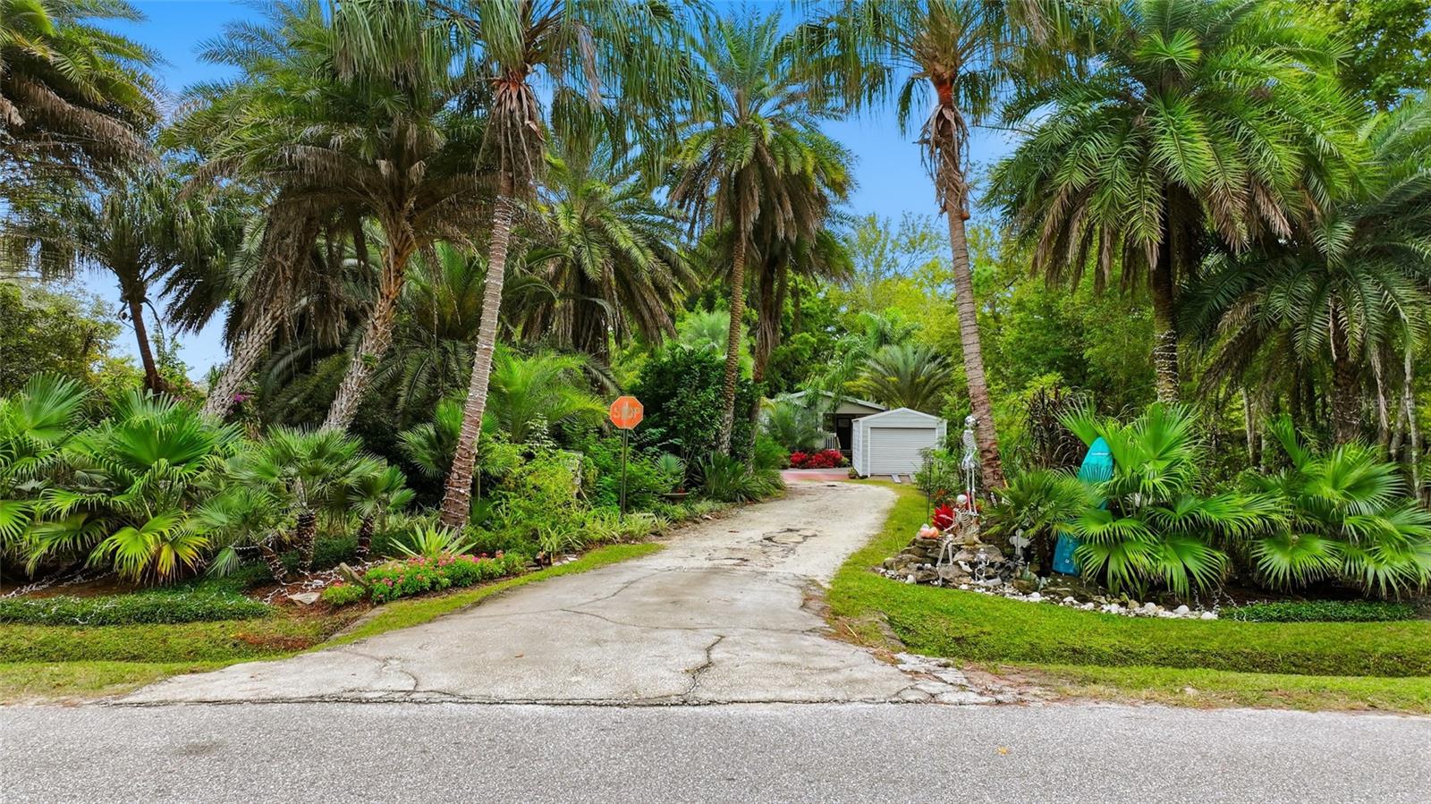 Image 11 of 29 For 725 Cypress Road