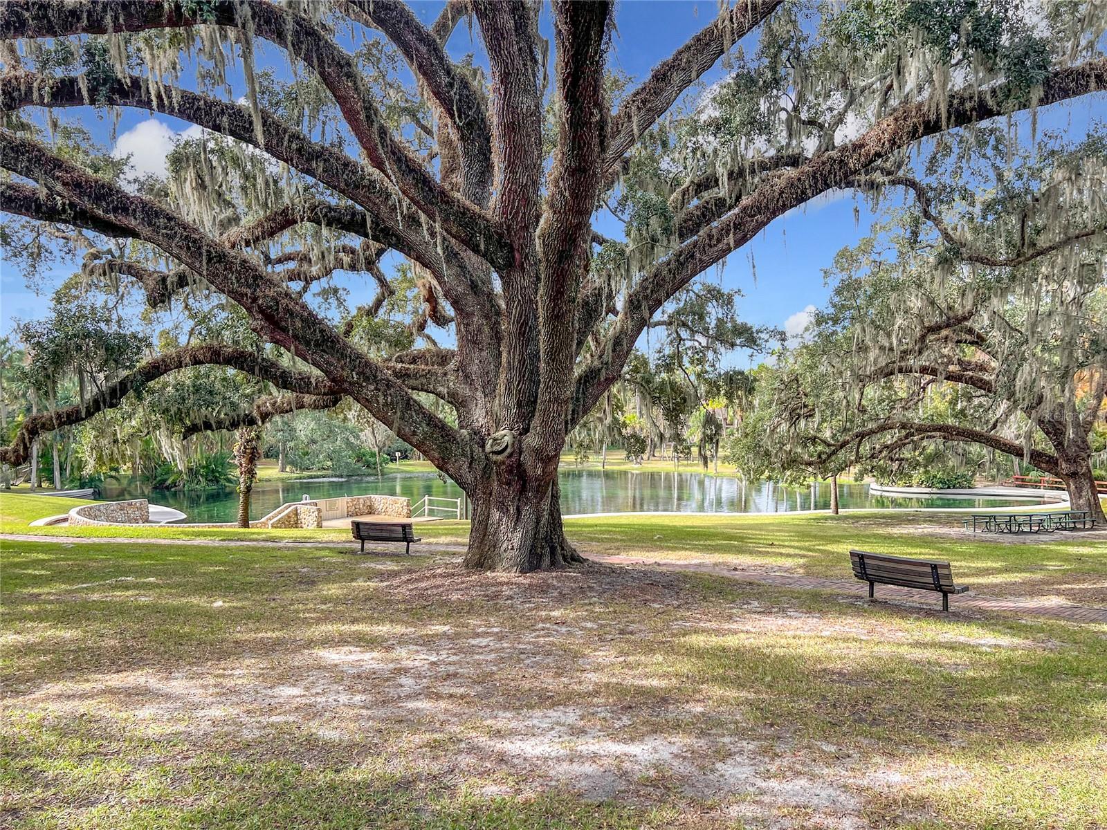 Image 49 of 68 For 117 Crown Oaks Way 117