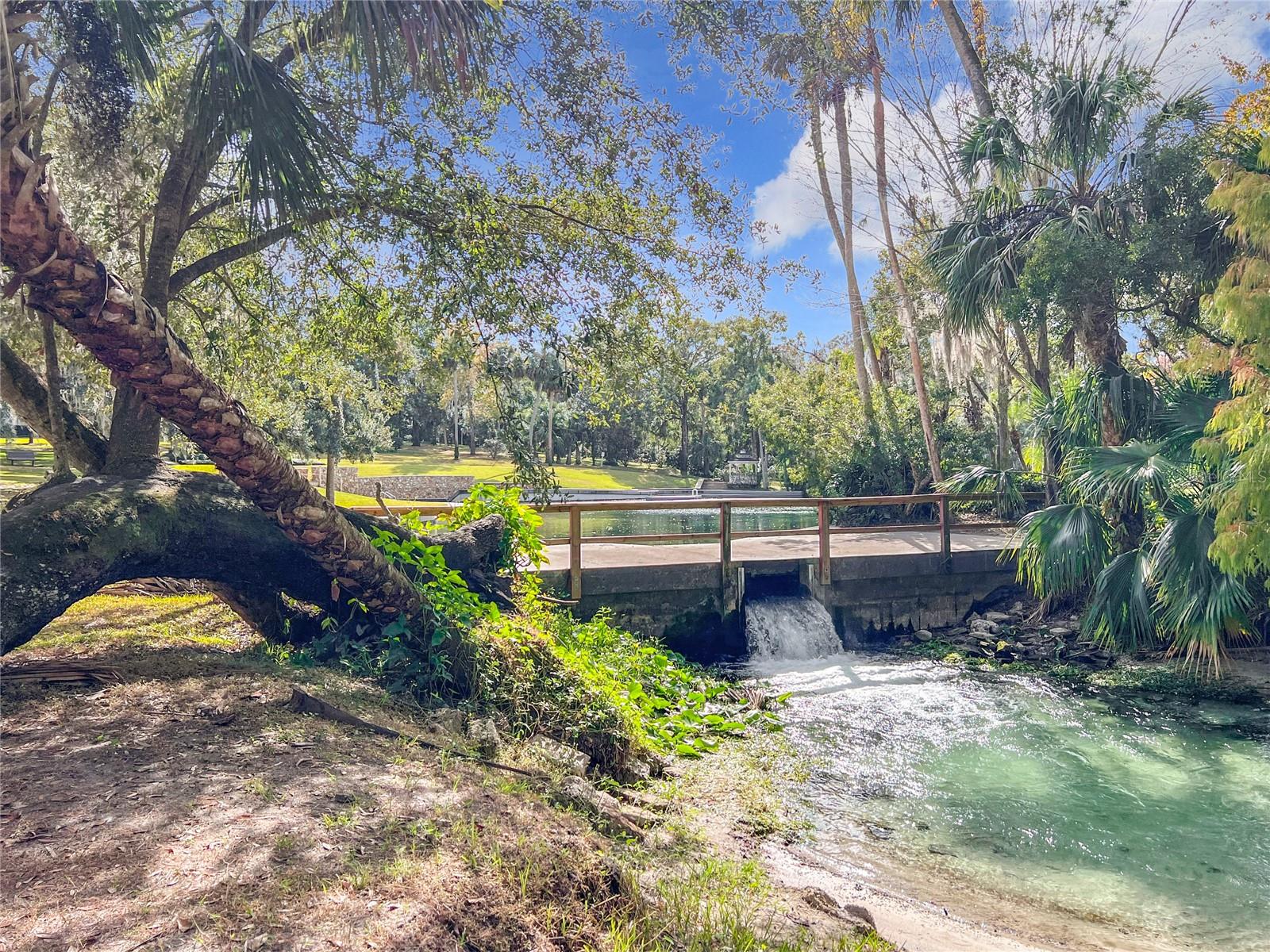 Image 55 of 68 For 117 Crown Oaks Way 117