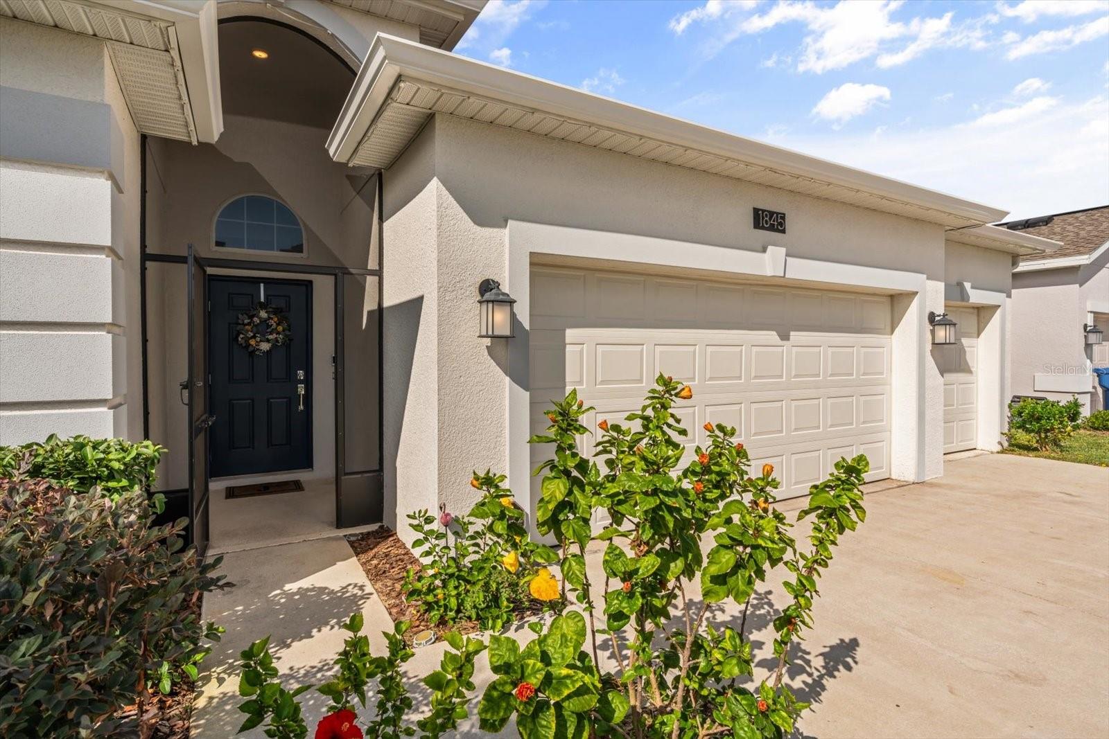 Image 2 of 37 For 1845 Perch Hammock Loop