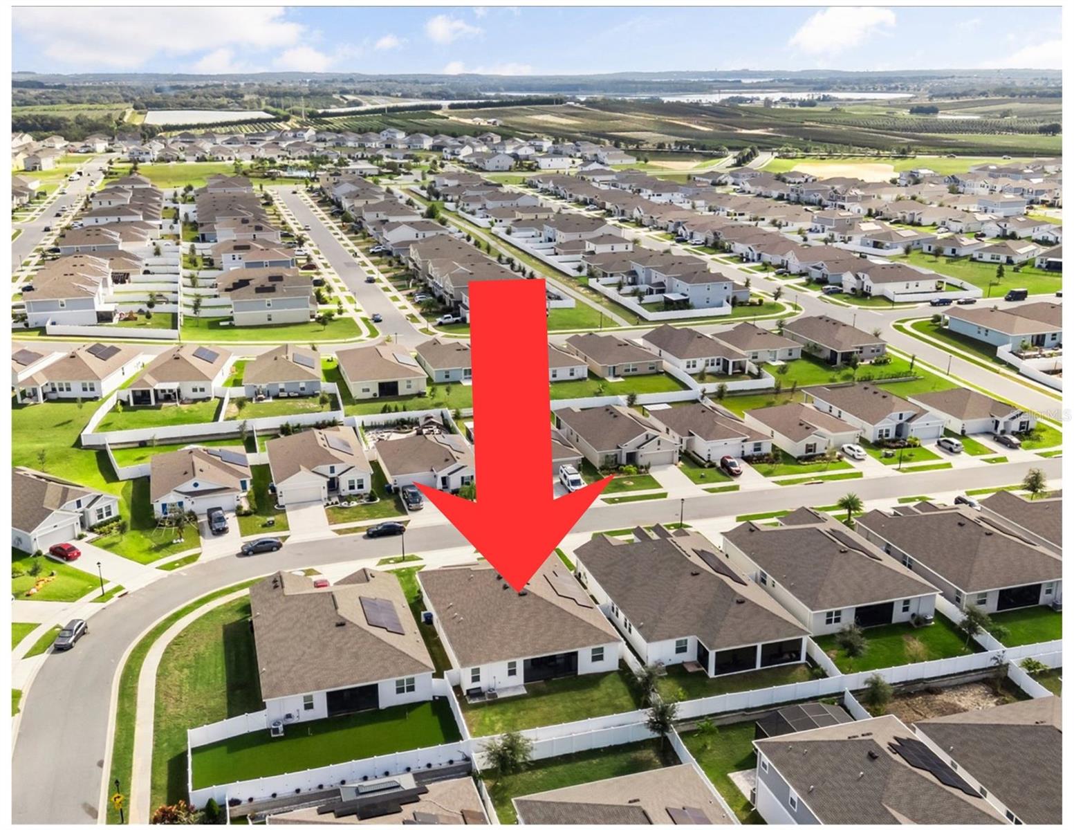 Image 38 of 38 For 1845 Perch Hammock Loop